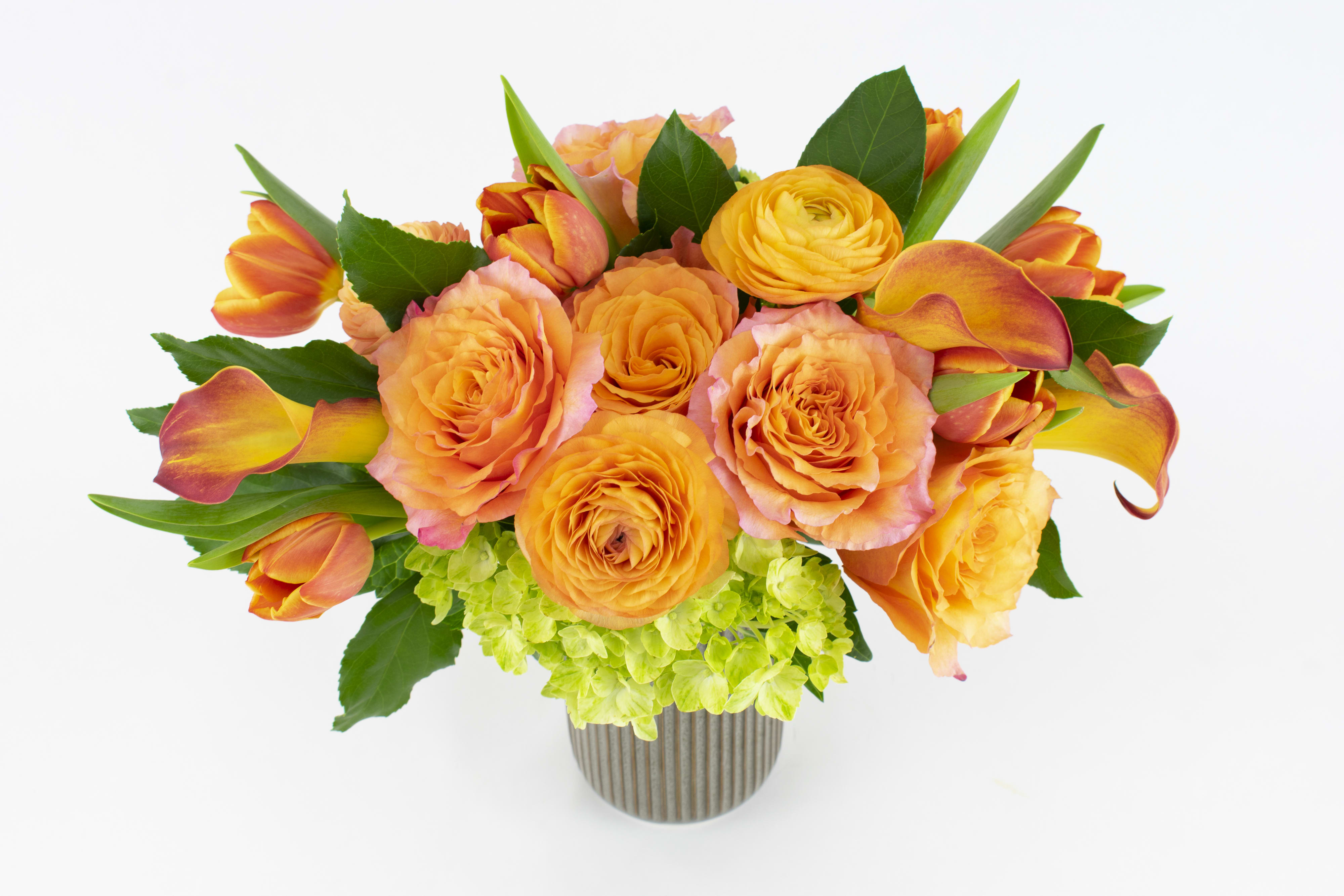 Orange roses and tulips in a striped vase with green hydrangea
