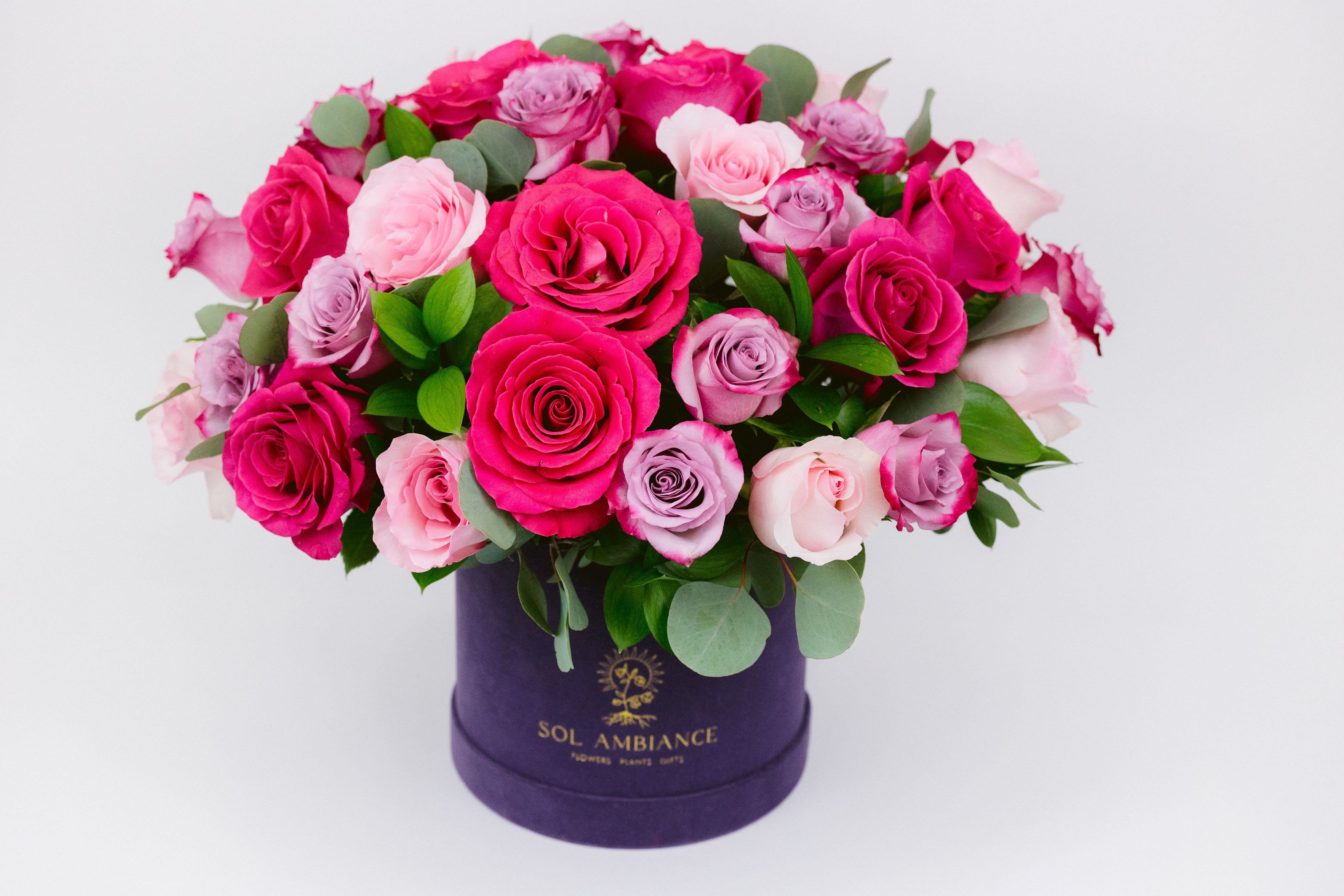 Pink and lavender roses arranged in a purple hat box