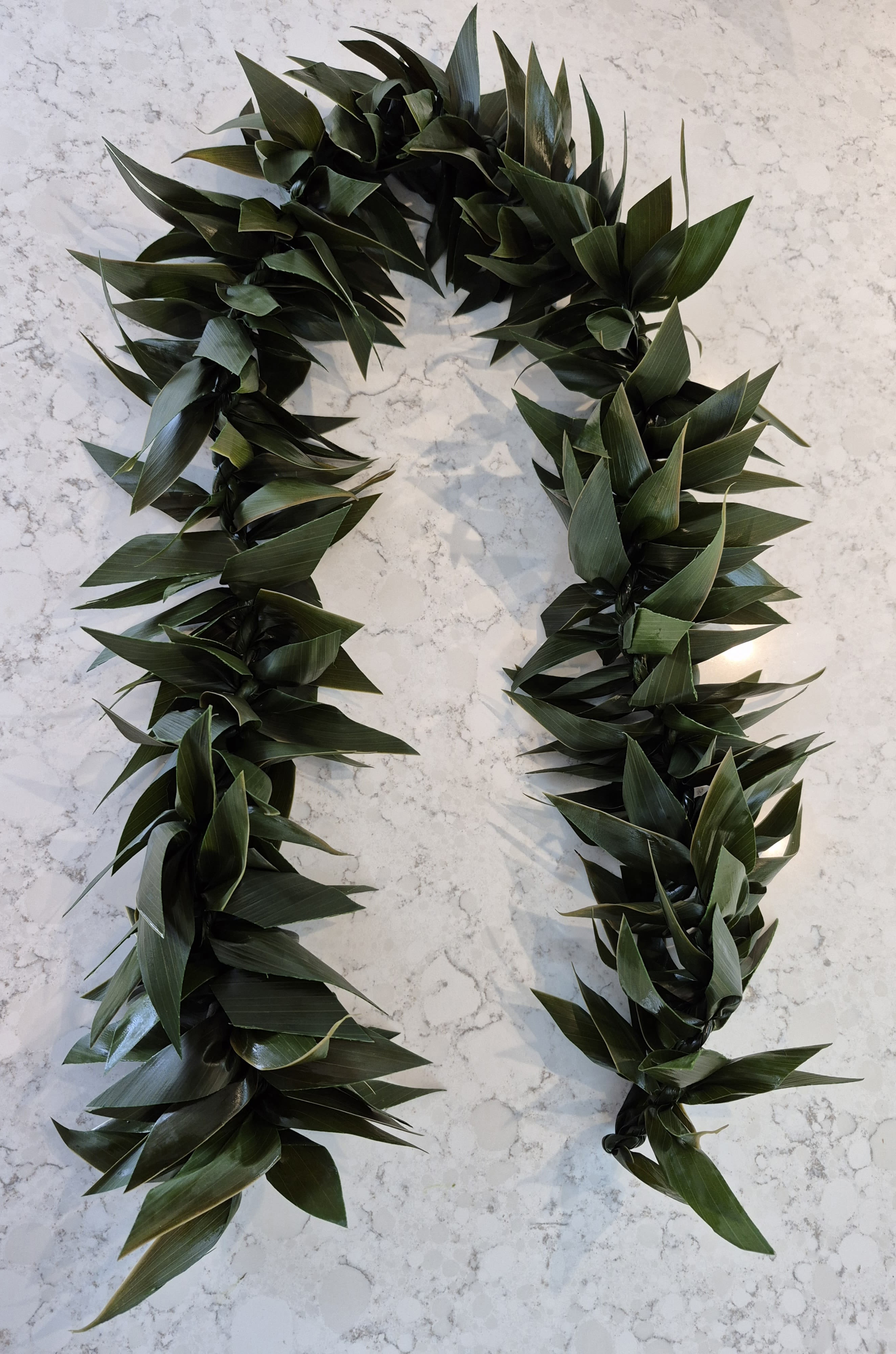 Two dark green leaf garlands arranged in a U shape on a light surface.