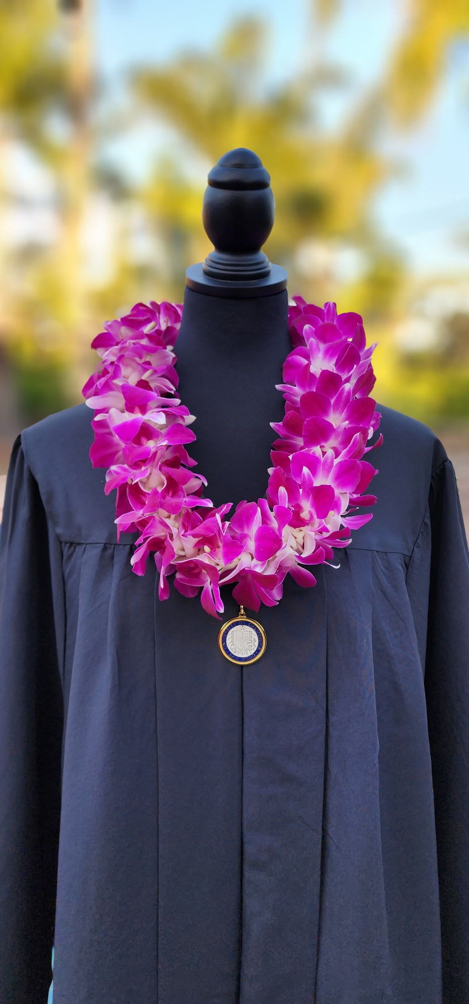Pink orchid lei draped over a dark graduation gown
