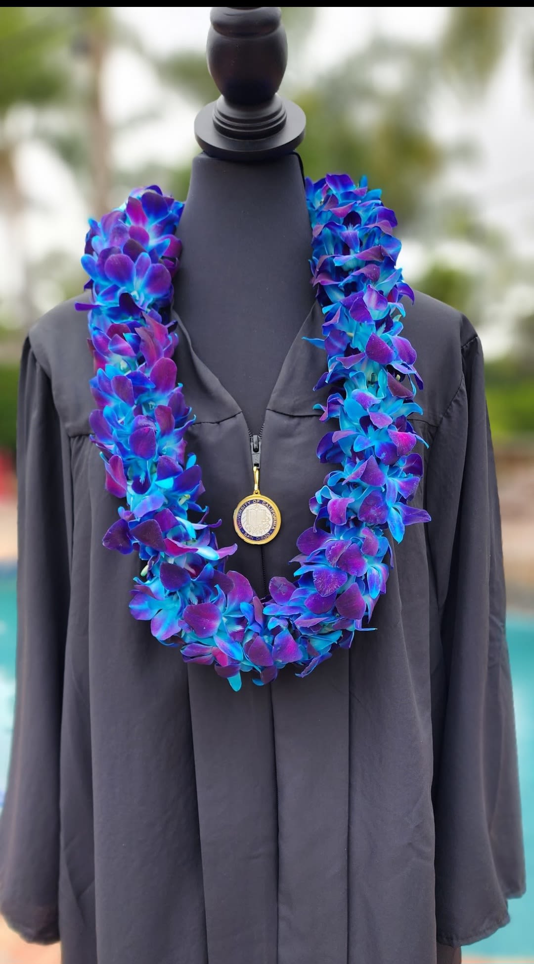 Blue Double Orchid Lei - Graduation  - Blue orchid blooms form a lush, double-stranded lei that reads like celebration around the graduate's shoulders - perfect as a graduation flower arrangement or honor lei for commencement and academic ceremonies. Draped over a black graduation gown, the saturated colors pop, making the recipient feel recognized and radiant the moment they step into the ceremony.  Each dense strand is made from fresh orchid blossoms in blue strung to create a full, circular silhouette that sits comfortably with a medallion necklace or over regalia. The lei's size and fullness give it a ceremonial presence without overpowering the gown, and the durable orchid petals hold up well through processions and photos.  Give this to the person you want to honor so they feel seen for their achievement - it's the kind of floral gift that reads as both congratulatory and elegant. Order in time for graduation day so the lei arrives fresh and ready to wear; orchids are low-maintenance but should be kept cool and misted lightly if not worn immediately.