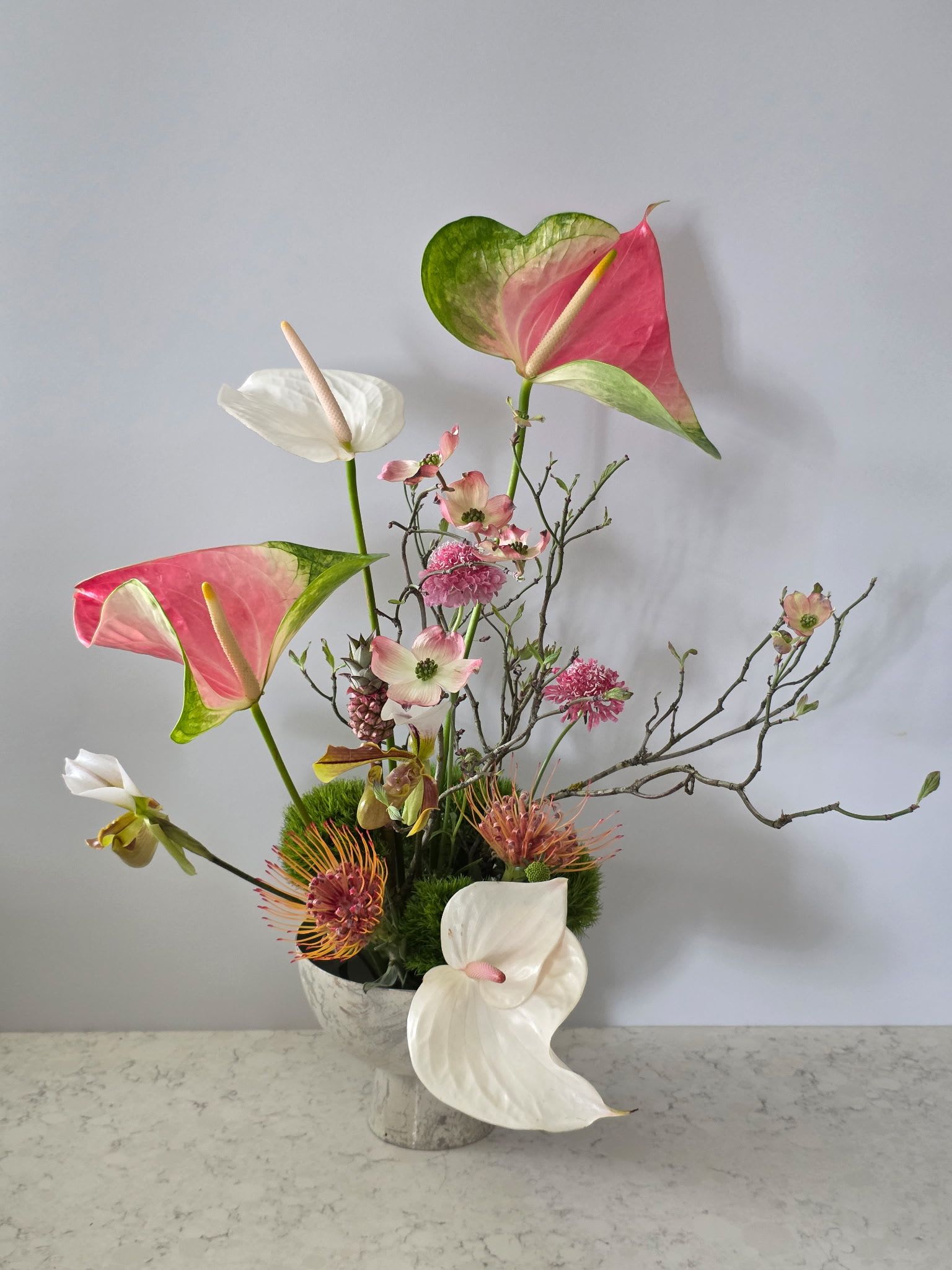 Okaasann Ikebana - Mother's Day Design - A sculptural, art-forward arrangement that blends tropical elegance with airy spring textures. Featuring striking blush and green variegated anthuriums as the focal point, this design is layered with delicate dogwood blooms, textured pincushion protea, soft accent florals, and natural branching for movement and dimension. Nestled in a modern stone-style vessel with lush moss detailing, this piece feels both organic and elevated—perfect for contemporary homes, events, or statement gifting. The asymmetrical composition draws the eye upward while maintaining a soft, romantic balance of pinks, whites, and fresh greens.