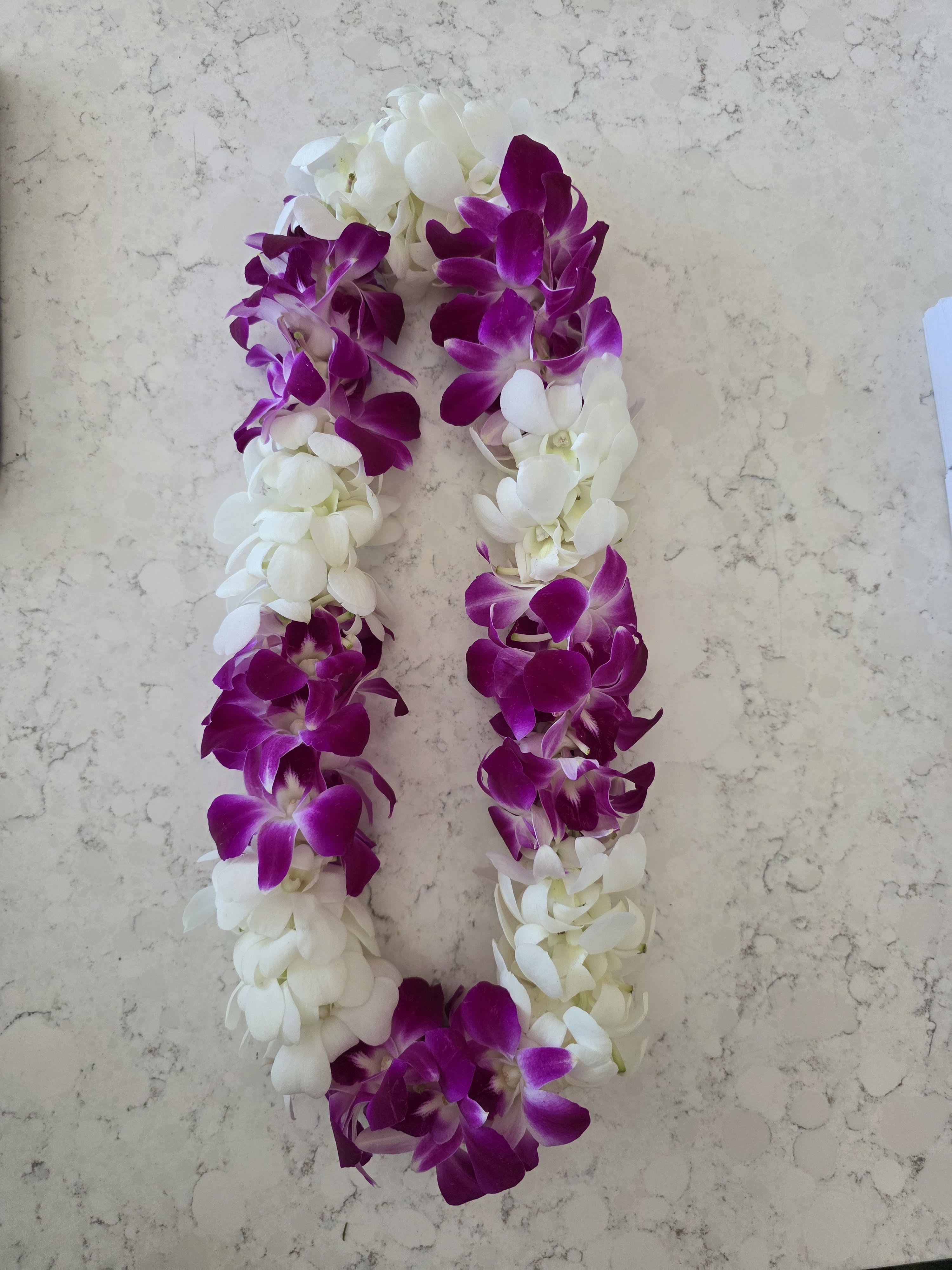 Double Orchid Lei - Purple &amp; White  - A lush loop of clustered white and purple orchids makes an unforgettable wearable bouquet - a double orchid lei perfect for graduation, a birthday surprise, or to honor someone retiring. The bold tropical silhouette and contrast of magenta and white petals reads celebratory and warm, the kind of piece that makes the person you're thinking of feel seen and celebrated the moment it's placed around their shoulders.  Crafted from tightly packed orchids with hints of pink and cool blue tones when they catch the light, this lei sits thick and soft against the neckline for a full, layered texture. Shown over a light blue top to highlight its colors, the lei's strong color contrast and island-inspired mood suit weddings, congratulations gatherings, or casual welcome ceremonies. Lightweight and wearable, it's ready to place on the recipient for an instant, festive statement; order timing and local delivery options ensure it arrives fresh for the big moment.