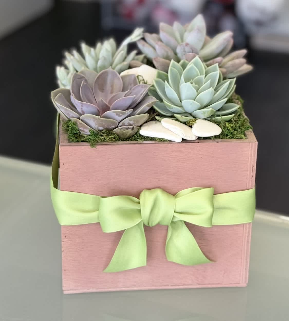 Succulent arrangement in a pink box with a green ribbon bow
