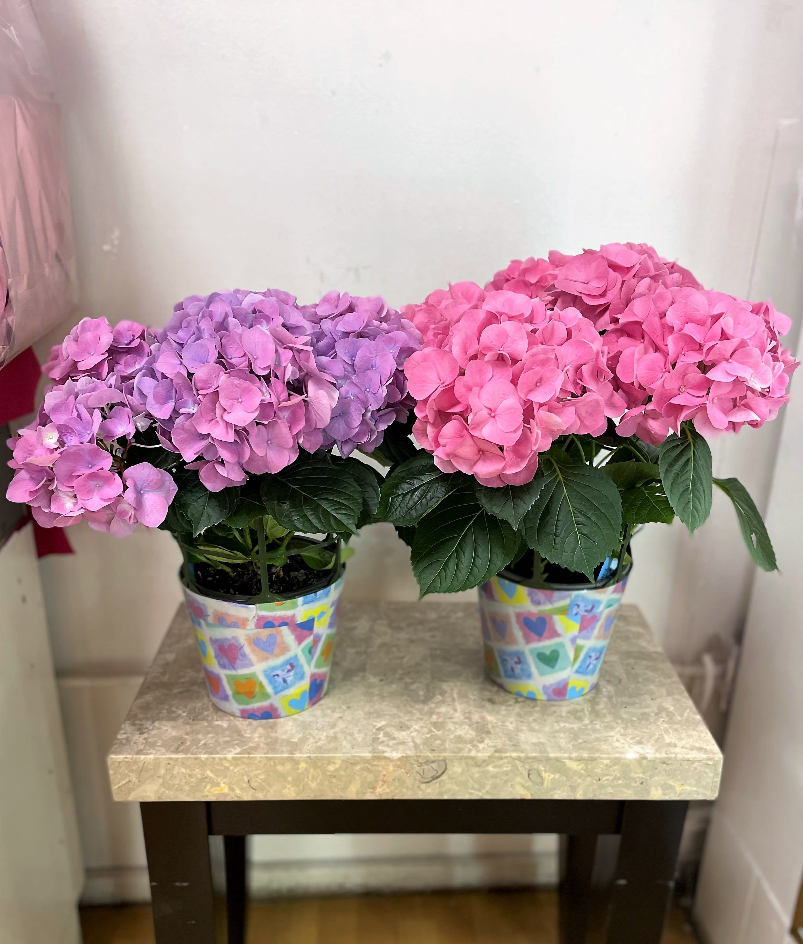 Two potted hydrangea plants with pink and purple blooms in decorated pots.