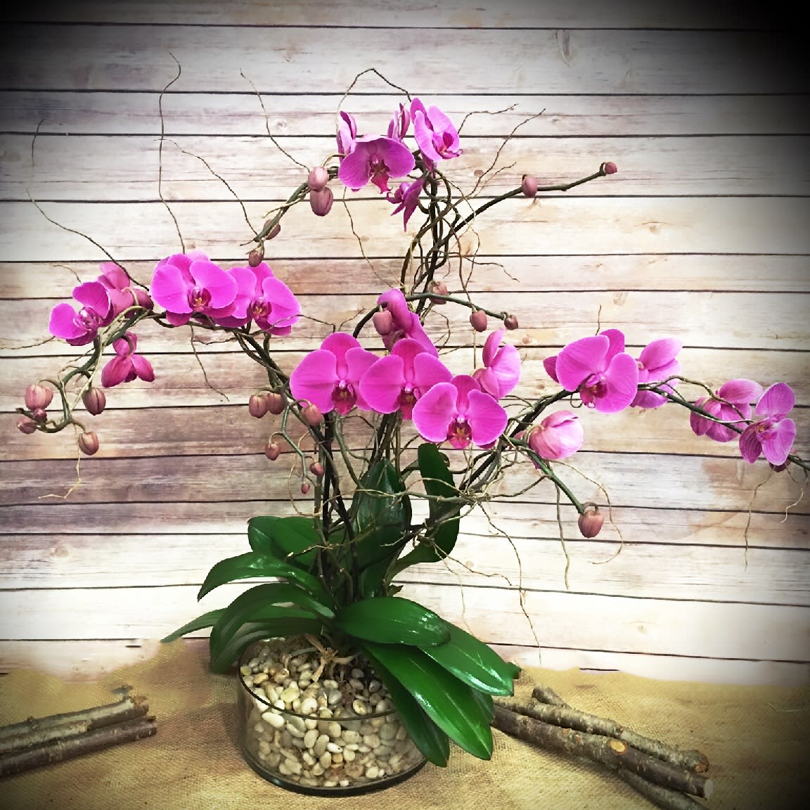 Pink orchids in a glass bowl with pebbles