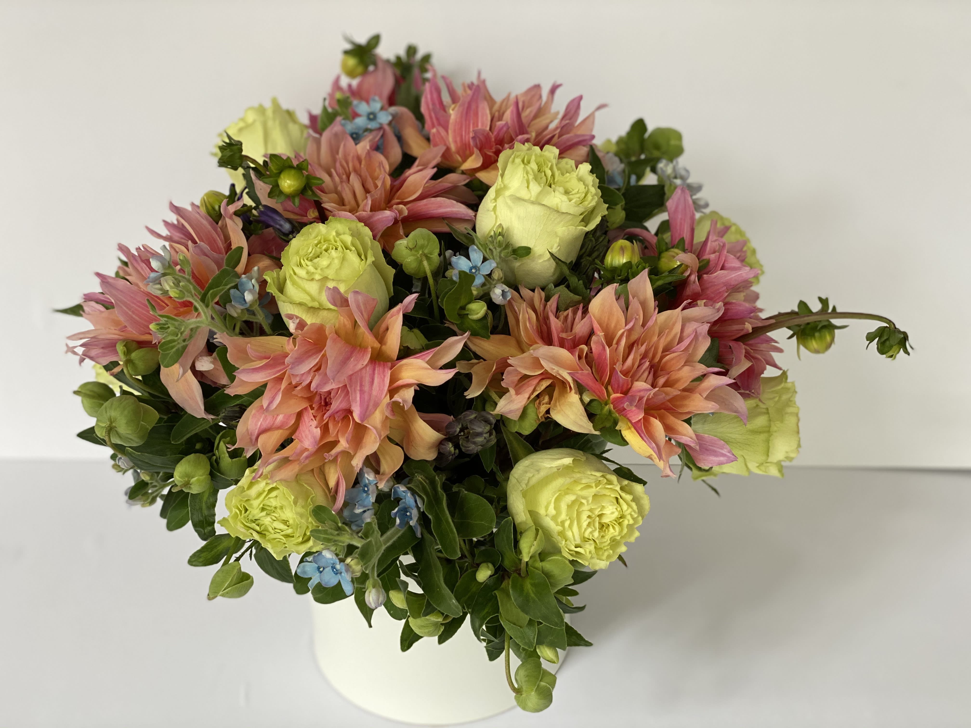 PENHILL  WATERMELON - LUSH ASSORTMENT OF LEMONADE GREEN ROSES, BLUE TWEEDIA, DAHLIAS , WINTER BELL HELLEBORE, AND BLUE HYACINTHS. ( spring season dahlias will be sub for peonies)
