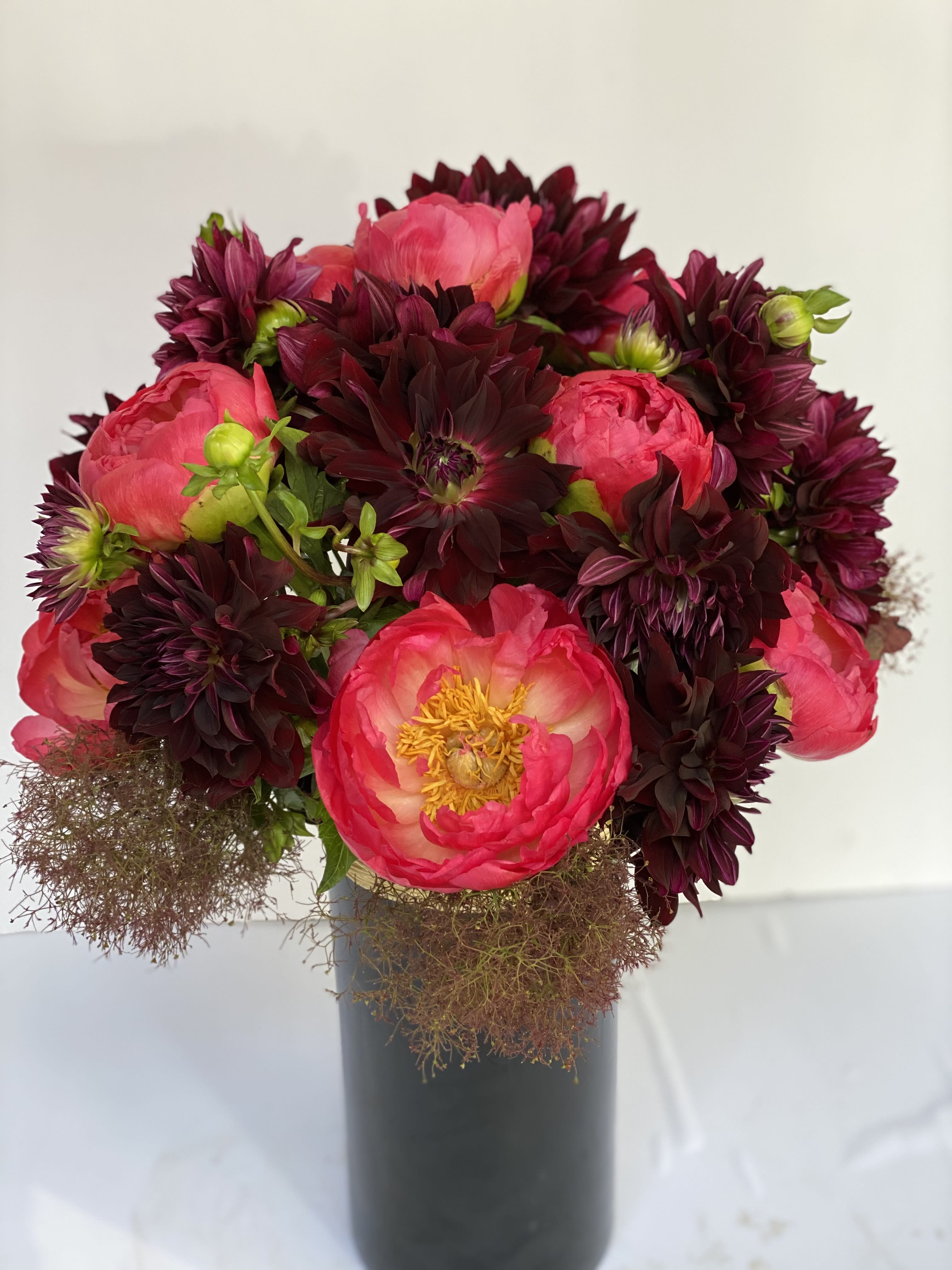 The Dahlia 'Nuit D' Ete' &amp; The Coral Charm - Award - Winning Dahlia 'Nuit d' Ete' is a devilishly dark burgundy - red semi- cactus dahlia. The profuse and spectacular flowers. feature elegant elongated velvety petals and resemble elegant sea-urchins combined with spectacular coral charm peonies, Injecting drama into a lush and full flower display 