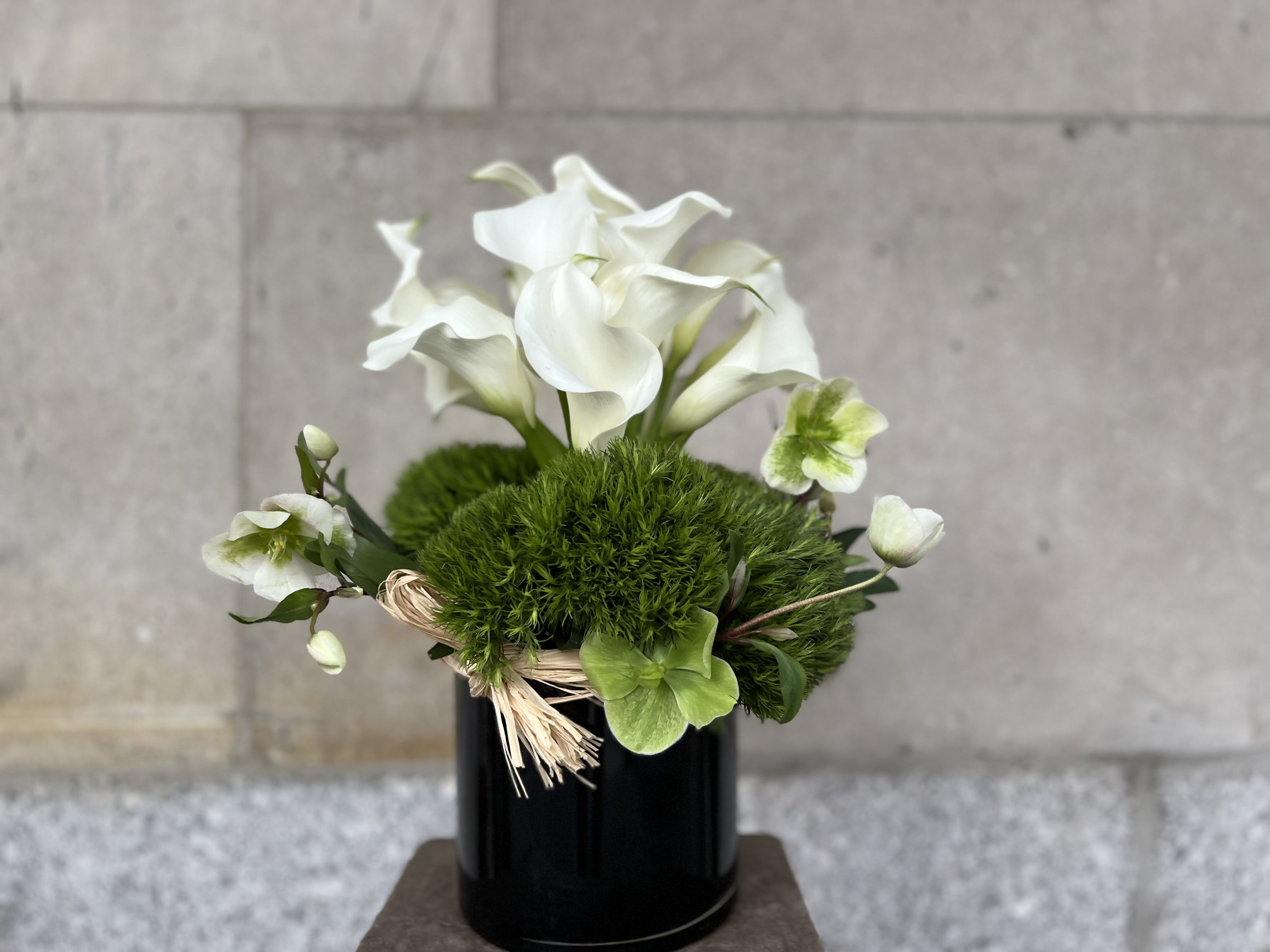 LOVEBIRDS #1 - Clean, Elegant White Blooms that are the Ultimate in Pure Modern Sophistication,    PICTURE SHOWN (STANDARD)