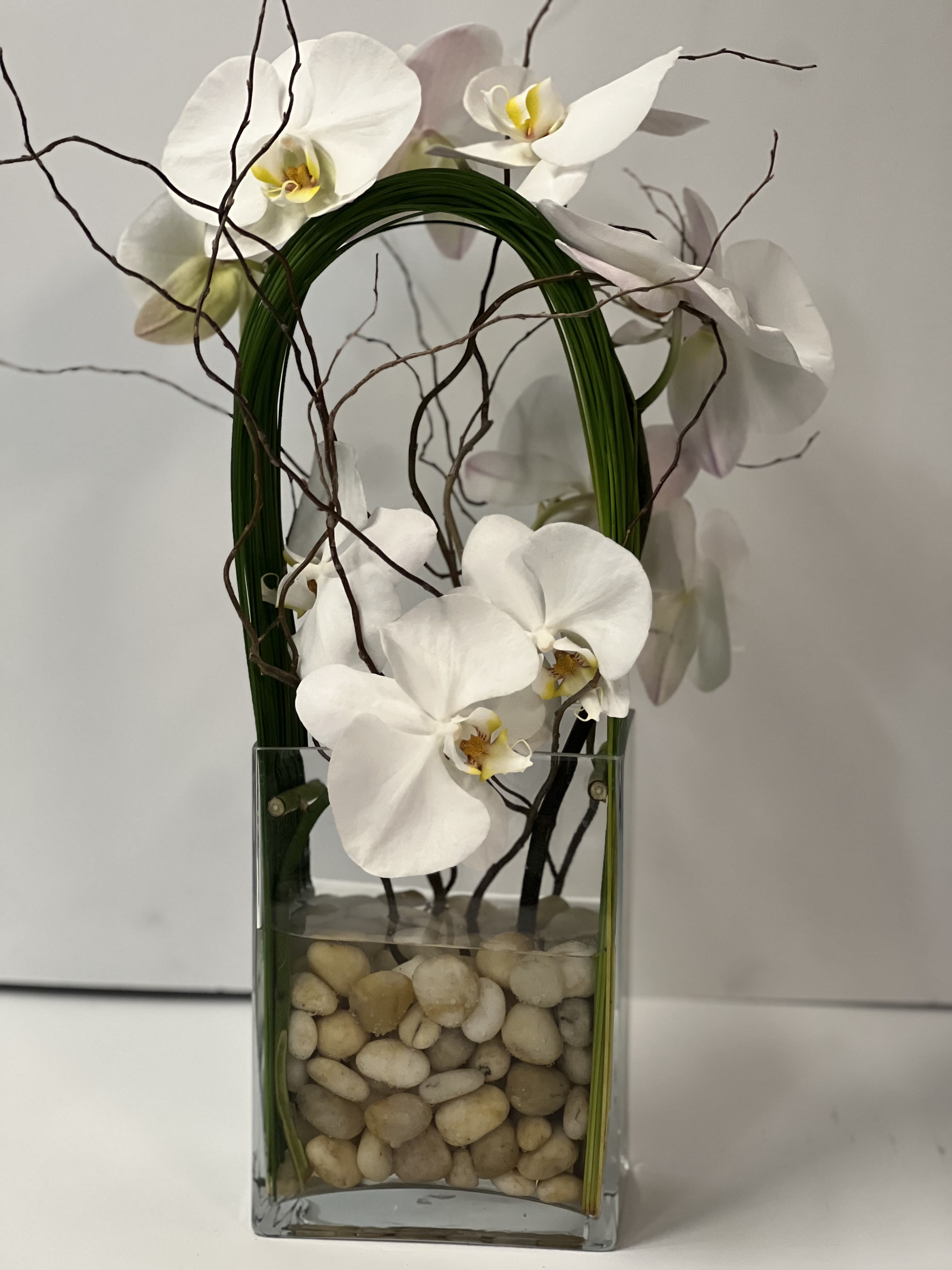 Orchid Olympus - Elegant display of cut stem white orchid phalaenopsis captured by Australian flexi grass set in a rectangle glass vase with a bottom of river rocks surrounded by curly willow branch.