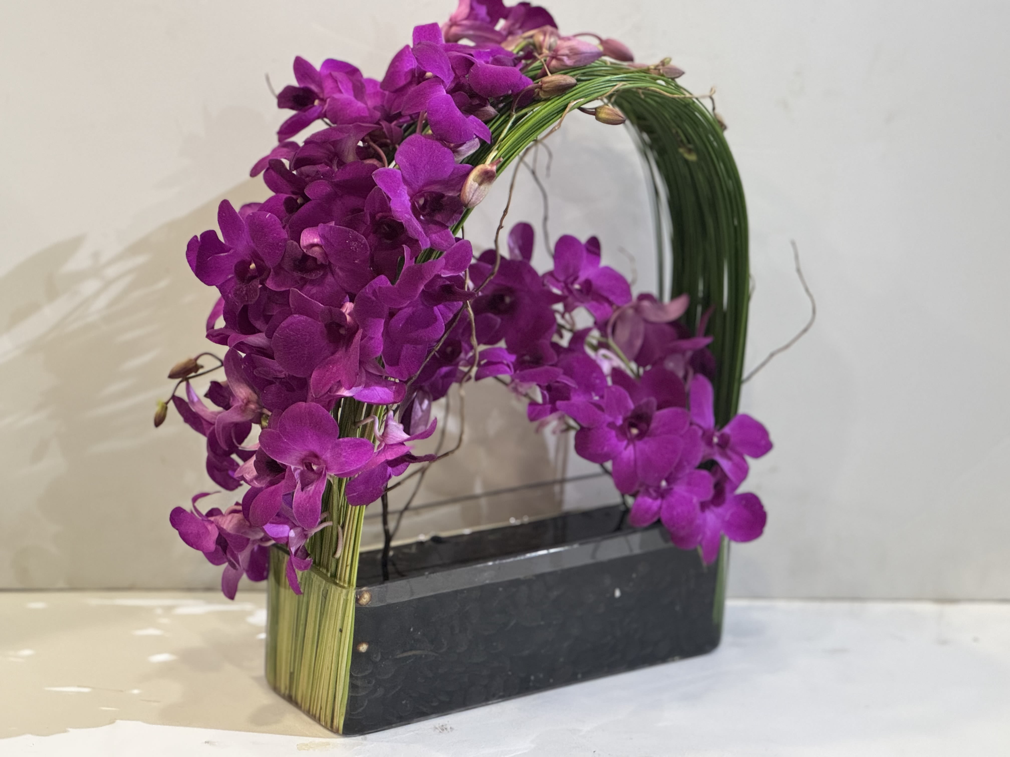 Orchid Emperor 2 - Elegant display of 4 stems long draping dendrobiums orchid captured by Australian flexi grass set in a structural rectangle glass 6"H x 4"W x 10"L vase with a bottom of river rocks surrounded by curly willow branch.