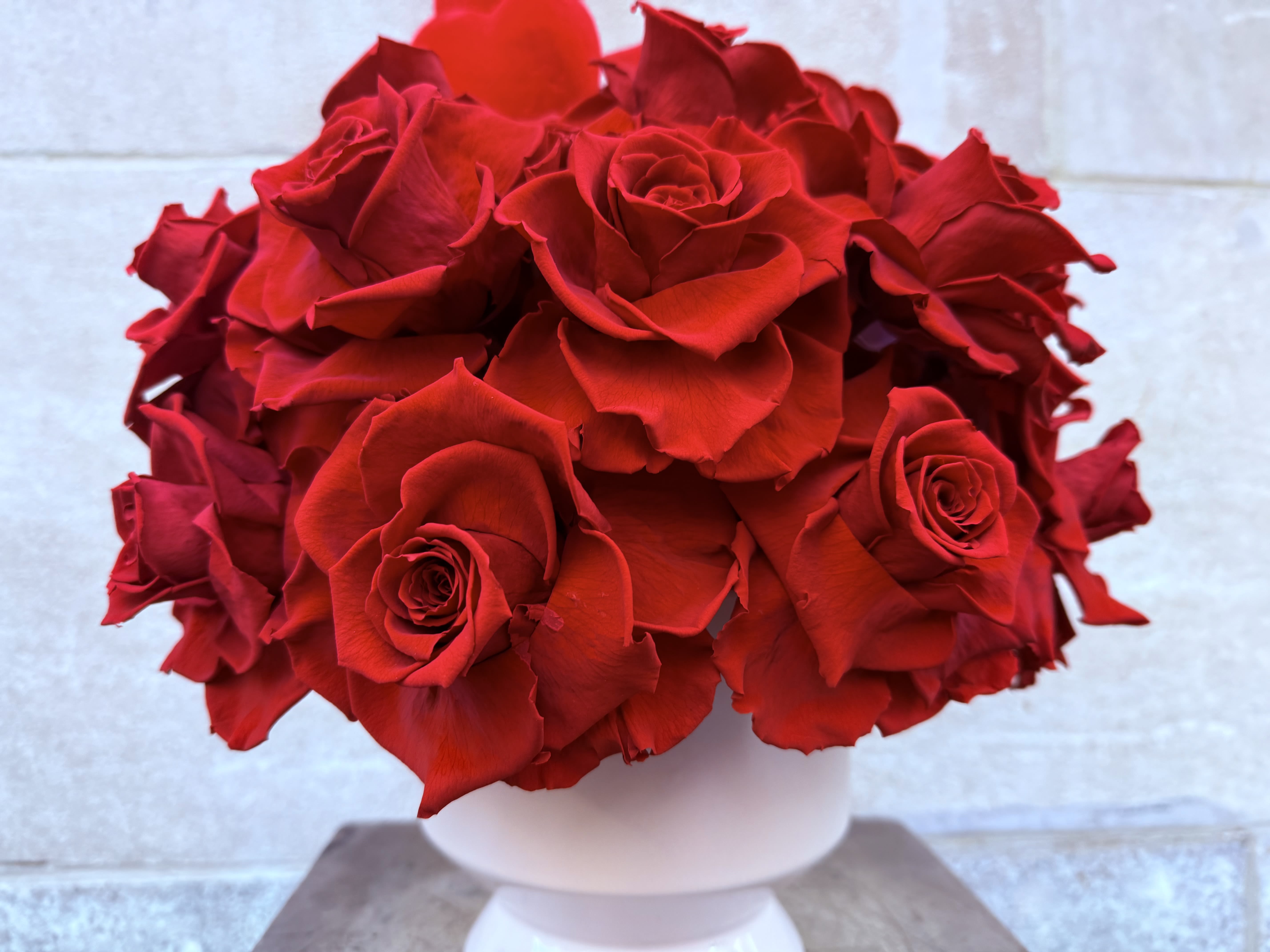 Stunning preserved red roses! - Our preserved roses are meticulously handcrafted on our farm in Ecuador, ensuring the highest quality. They are now beautifully arranged into stunning rose bouquets.  Enjoy!
