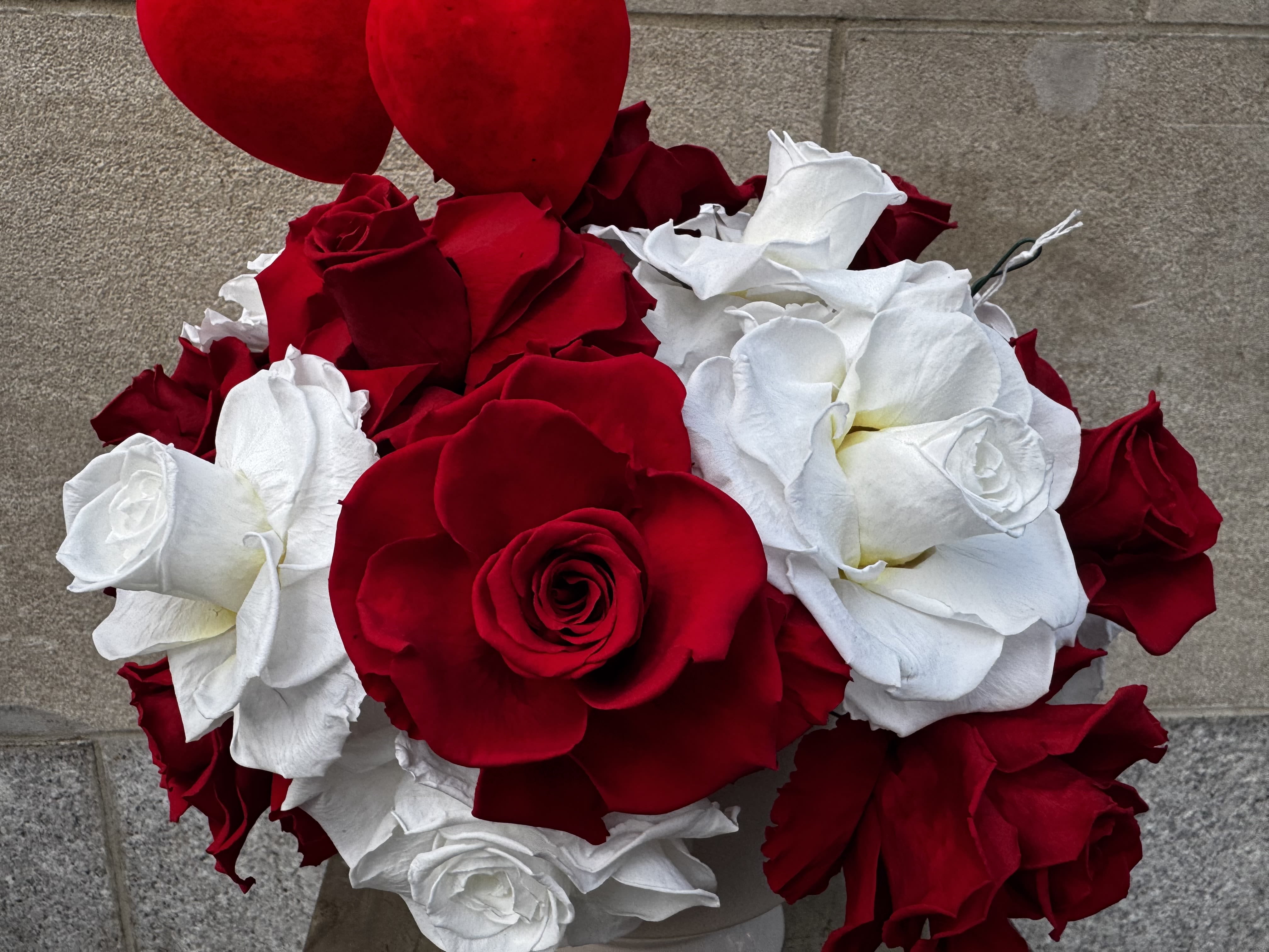 Stunning preserved Red &amp;  White mixed roses! - Our preserved roses are meticulously handcrafted on our farm in Ecuador, ensuring the highest quality. They are now beautifully arranged into stunning rose bouquets.  Enjoy!