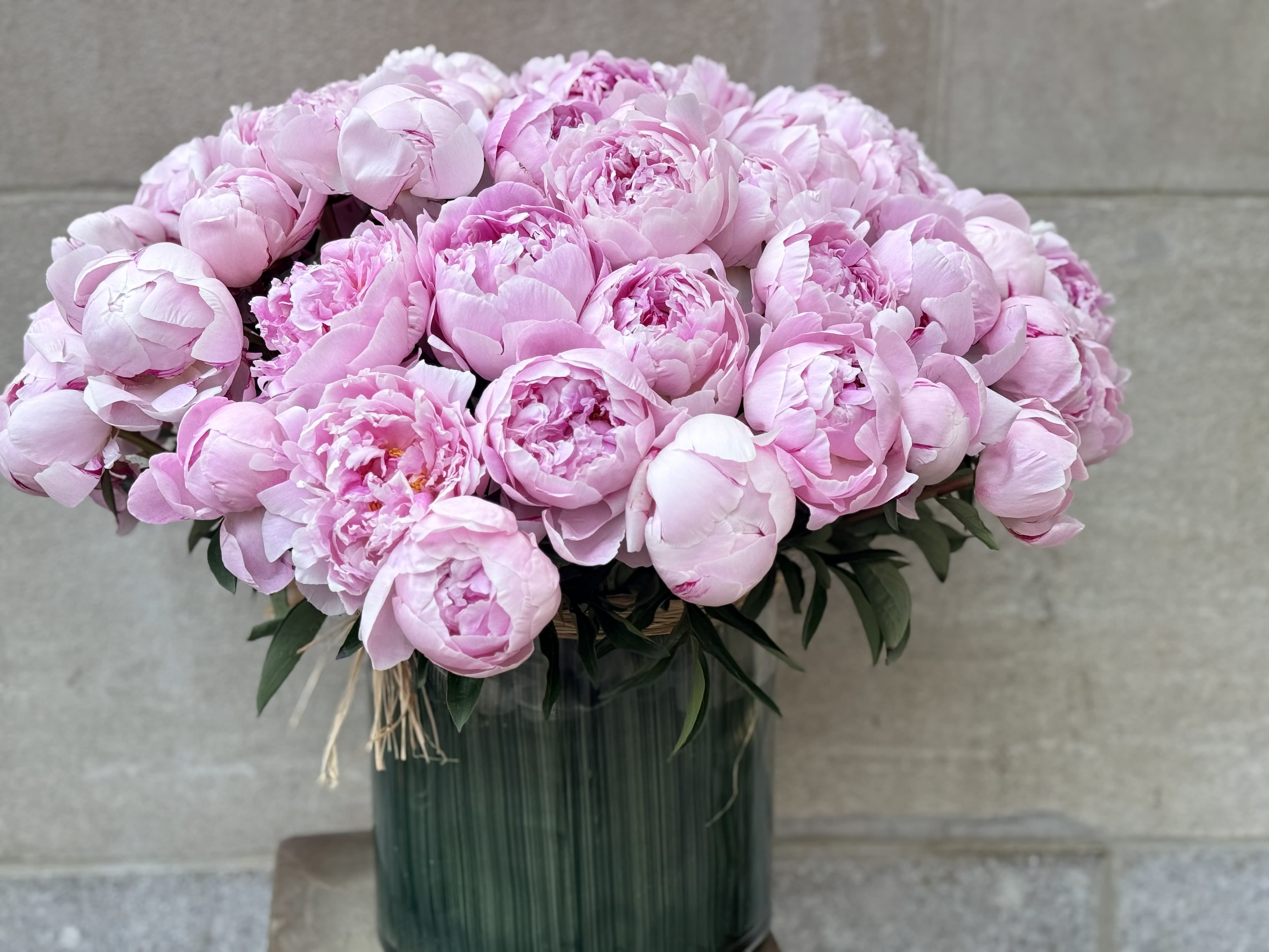100'S REINE HORTENSE  - A cloudlike dome of pale pink peonies creates an instantly romantic statement perfect for a wedding centerpiece, anniversary surprise, or a heartfelt Mother's Day gift. The rounded, lush silhouette and ruffled petals read soft and feminine-she'll feel cherished the moment these garden-style blooms fill the room with their elegant presence.  Tightly packed pale pink peonies are arranged in a tall, ribbed dark green glass vase, accented simply with twine for an understated, timeless look. Subtle tonal shifts from blush edges to deeper pink centers and a few dark-green leaves at the base add depth and contrast, while the dense, rounded shape gives the arrangement a luxurious, abundant feel.  Ideal for spring celebrations, proposals, or to mark a milestone anniversary, this arrangement sends a clear message of love and admiration while remaining refined enough for formal events. Vase dimensions and care: stems arrive ready in water-refresh water every 2-3 days and trim stems slightly to extend bloom life.