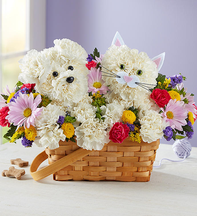 Paw-Some Pals - Surprise a pet lover in your life with our truly original arrangement. An adorable cat and dog duo are expertly crafted with white carnations, surrounded by a mix of bright and cheery blooms. Set in a charming, handled basket, it’s a sweet gift for birthdays, to say “thanks” or just to make someone smile.  Paw-Some Pals™ is a one-sided arrangement of white carnations, hot pink mini carnations, yellow button poms, lavender daisy poms and purple statice; accented with solidago and fresh greenery Hand-crafted in the shapes of a cat and a dog, each complete with eyes, nose and ears We hand-design each arrangement, so colors and varieties may vary due to availability 
