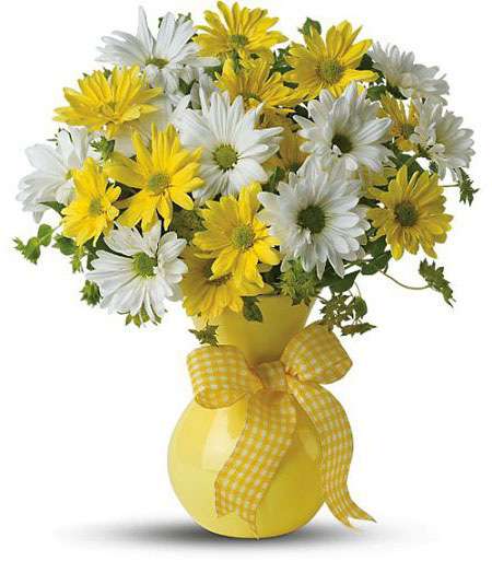 Yellow and white daisy bouquet in a yellow vase with a ribbon