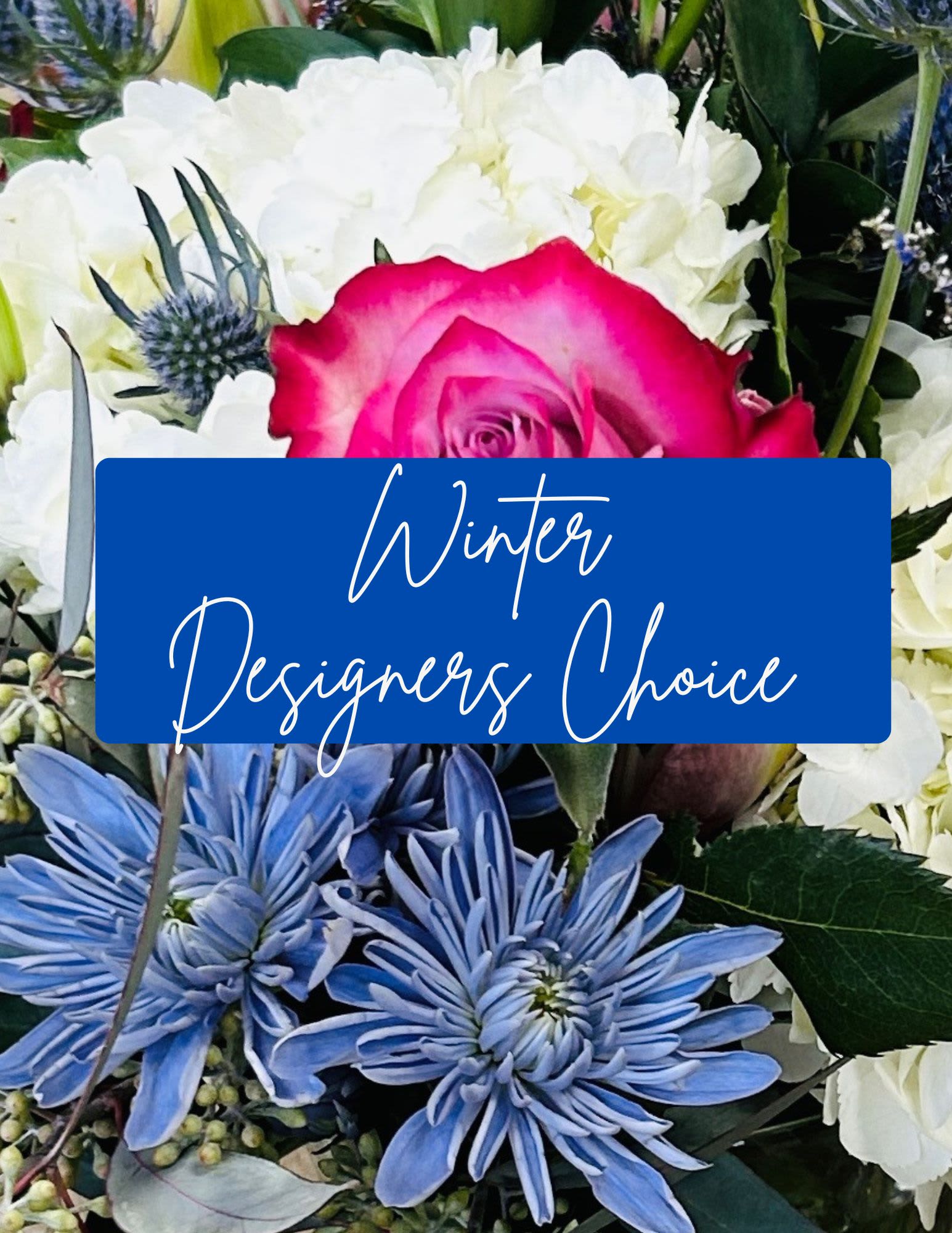 Winter Designers Choice Arrangement  - A crisp winter palette of white, blue, and a single vivid pink focal rose makes this winter designers choice arrangement a memorable winter birthday bouquet, holiday gift, or thoughtful way to send warm wishes. The cool tones and frosty textures create an elegant, seasonal look that will make the person you're thinking of feel noticed and celebrated - the pink rose draws the eye and adds a note of warmth against the wintry backdrop.  Fluffy white blooms form a soft, snowy backdrop while blue chrysanthemums and spiky, thistle-like blue accents give the design its frosted, textured character. Hydrangea blooms add volume and a luxe cloud-like shape; mixed roses bring classic romance. The arrangement balances bold color contrast with a serene, wintery mood that works well on mantels, side tables, or as a centerpiece.  Perfect for sending to a friend, family member, or colleague for a winter birthday, holiday greeting, or just-because pick-me-up, this bouquet reads both seasonal and timeless. Standard care - keep stems trimmed, change water regularly, and display away from direct heat - will help the blooms stay fresh through the week.