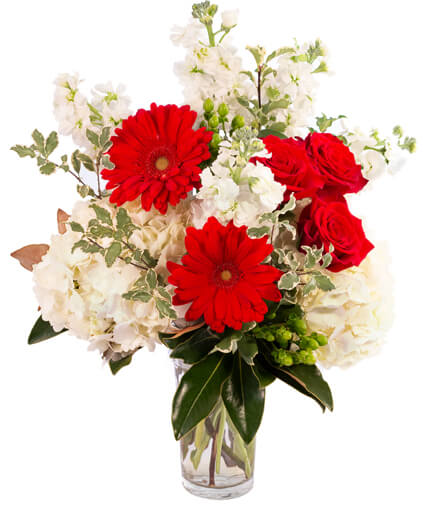 Red gerbera daisies and roses in a clear glass vase with white flowers