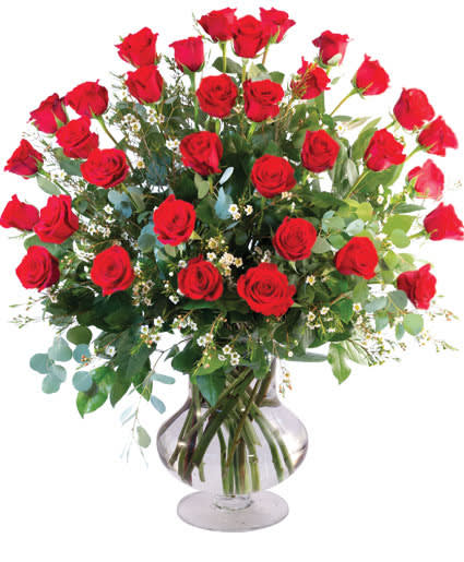 Three Dozen Red Roses - For the most marvelous and exquisite arrangement, send our three dozen red roses. The epitome of love and romance, they will be in awe when they receive this bouquet!