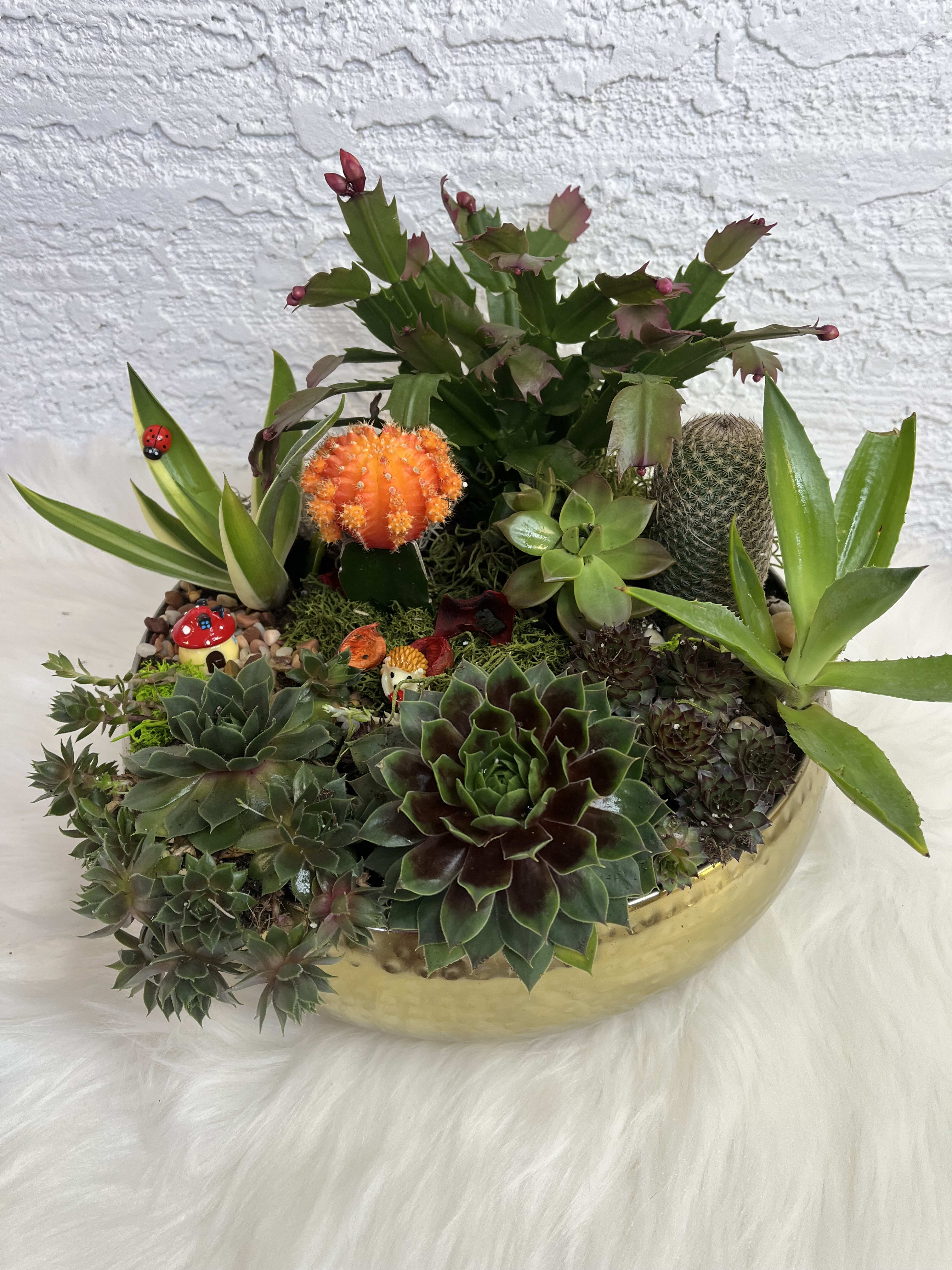 Succulent arrangement in a gold bowl with a Christmas cactus and small decorative figures