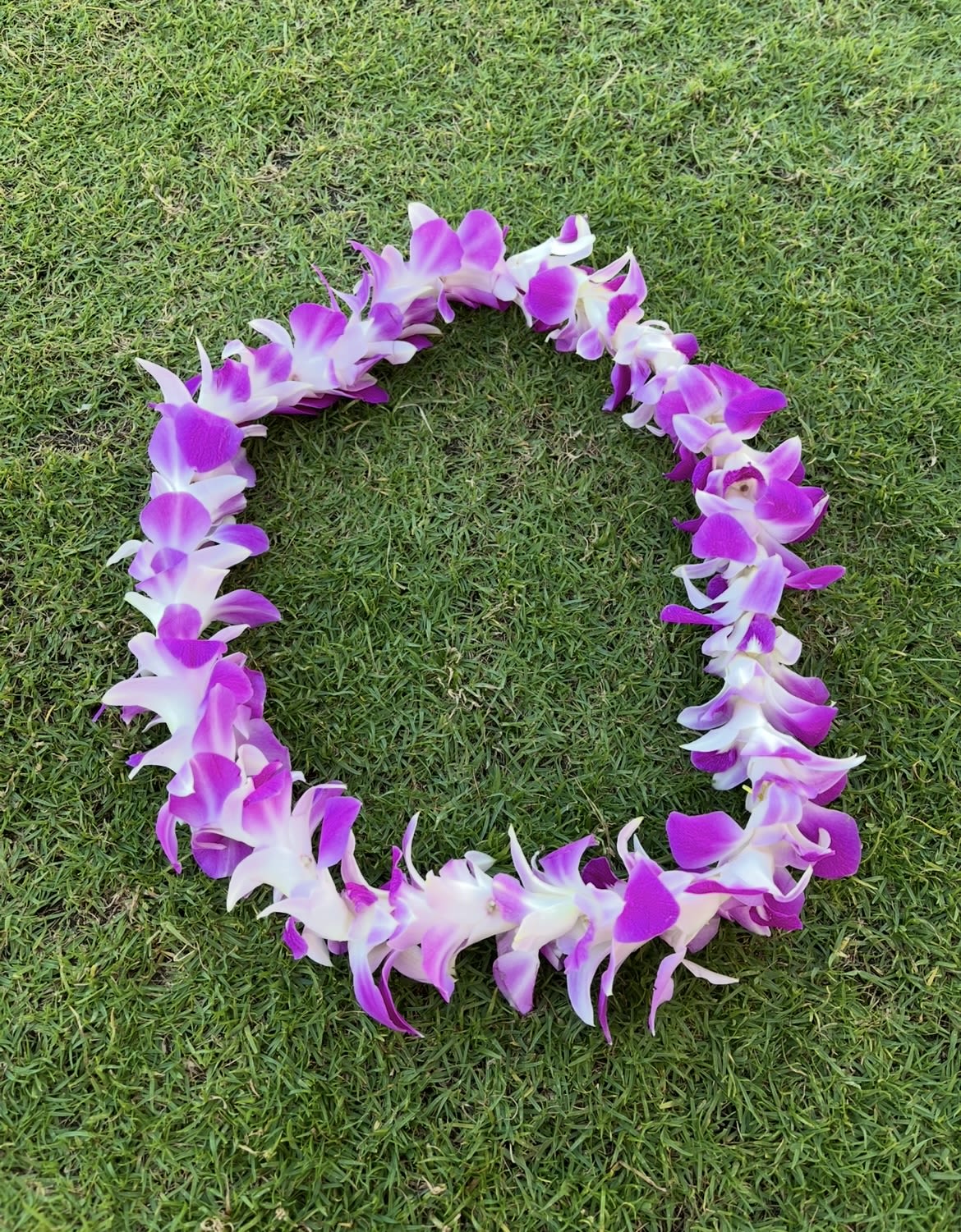 Purple and white orchid lei on grass