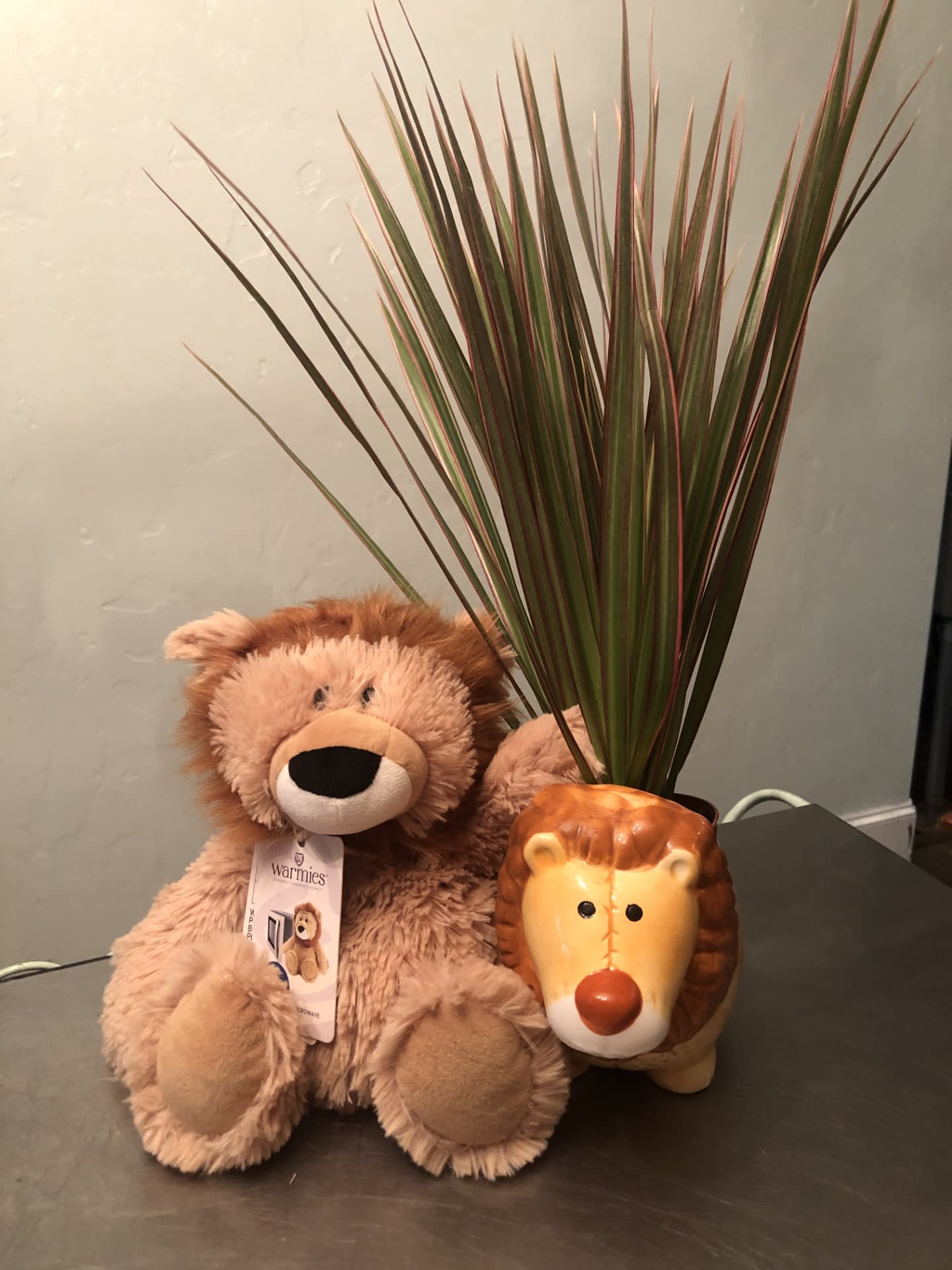 Plush teddy bear beside a lion-shaped planter with tall spiky leaves