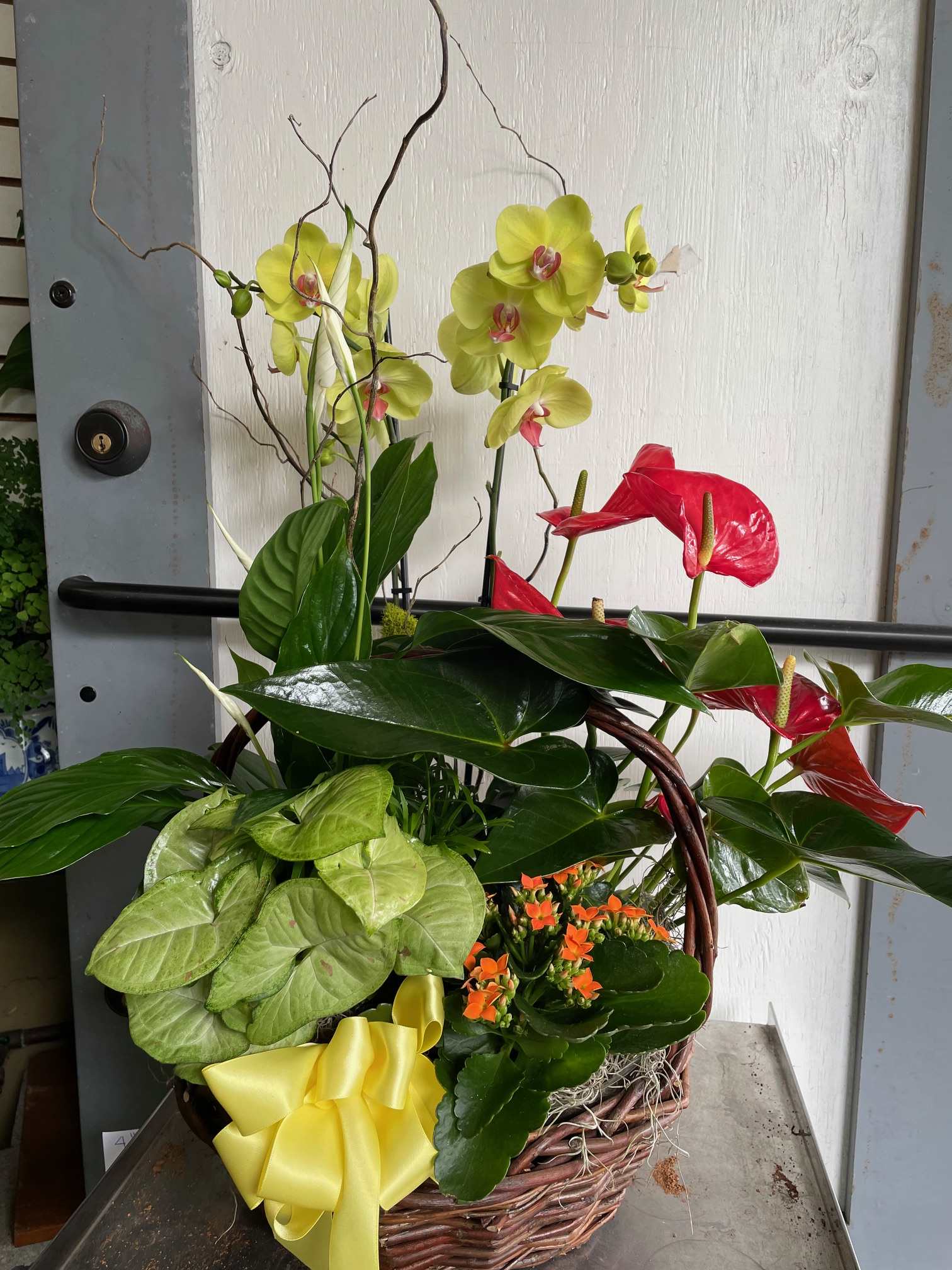 Basket arrangement with yellow orchids, red anthuriums, and orange flowers