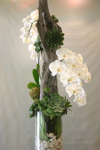 White orchids and succulents arranged in a tall glass vase with driftwood