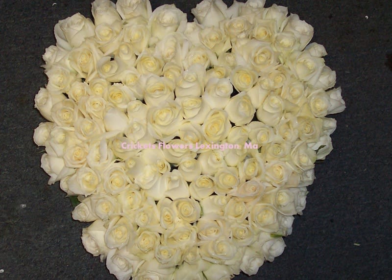 Heart-shaped arrangement of white roses on a dark background