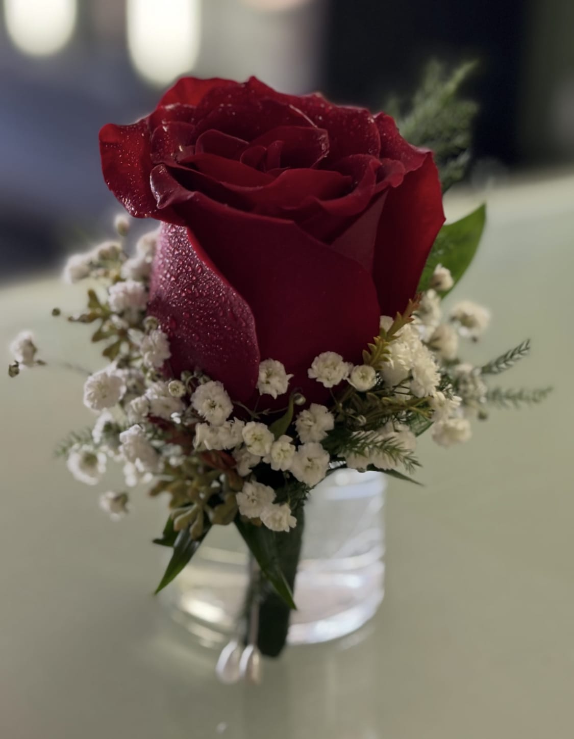 Single red rose with small white filler flowers in a clear glass vase