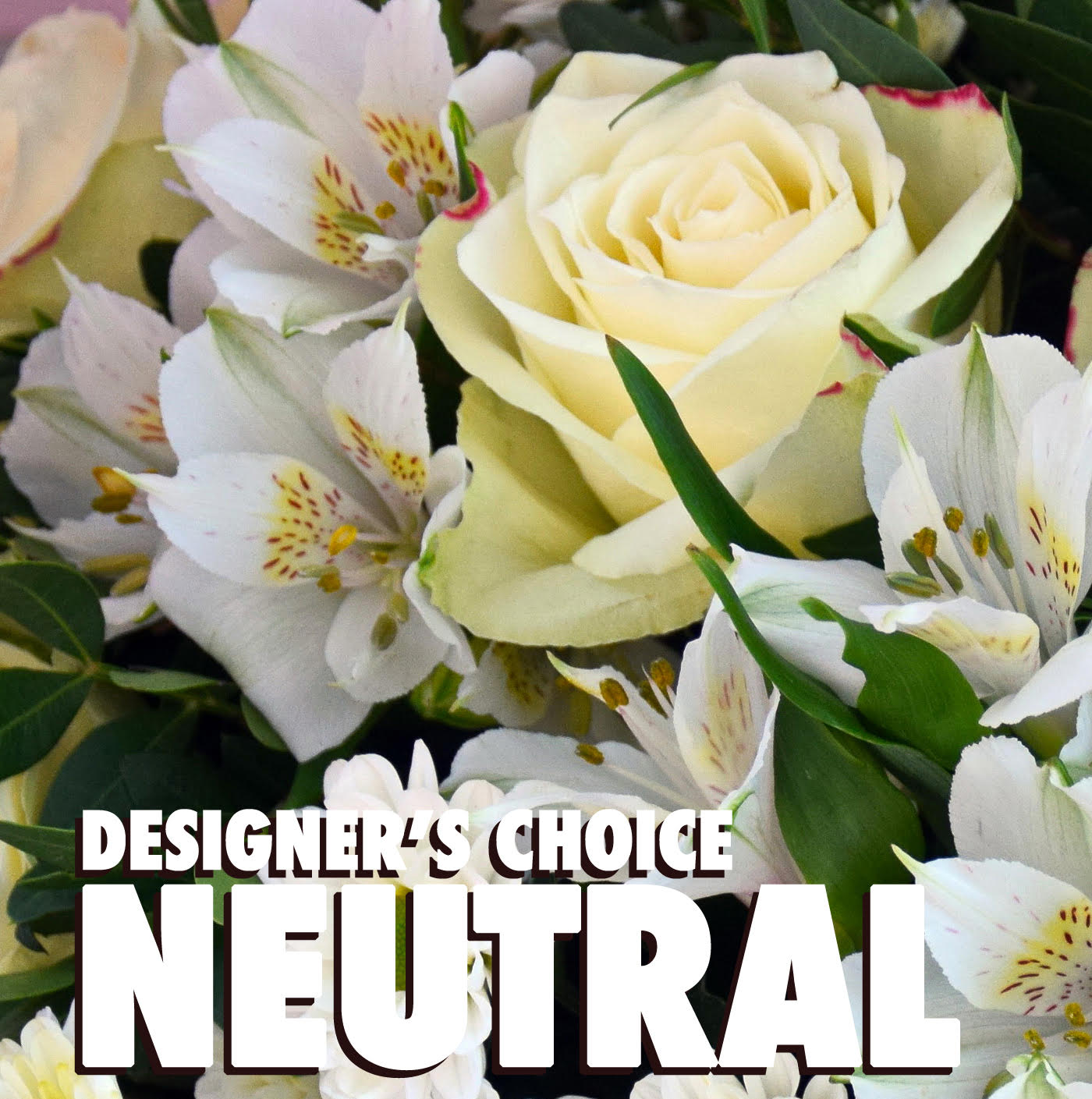 Neutral-toned arrangement with cream roses and white alstroemeria in a close-up view