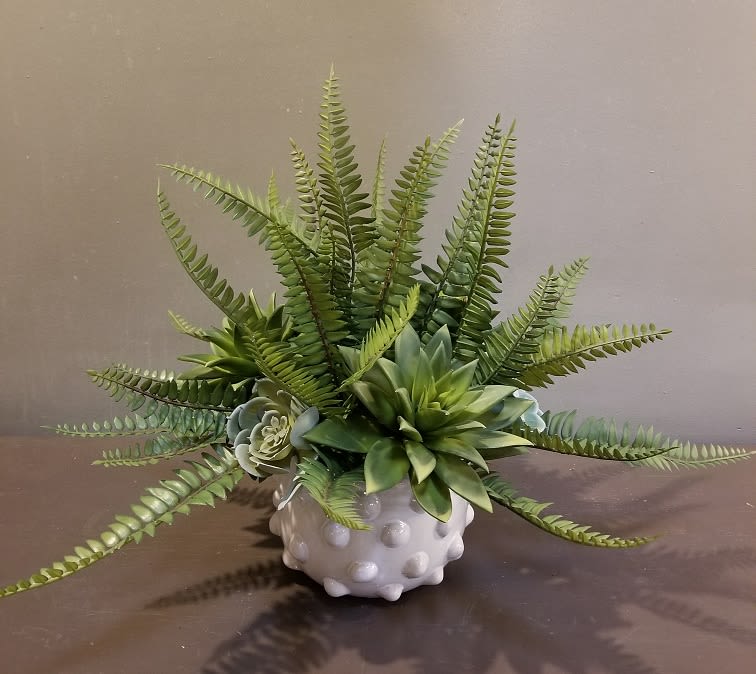 Succulent arrangement with fern fronds in a white textured pot