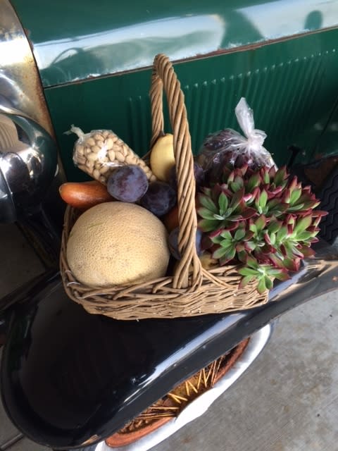 Wicker basket filled with assorted fruit and a succulent cluster