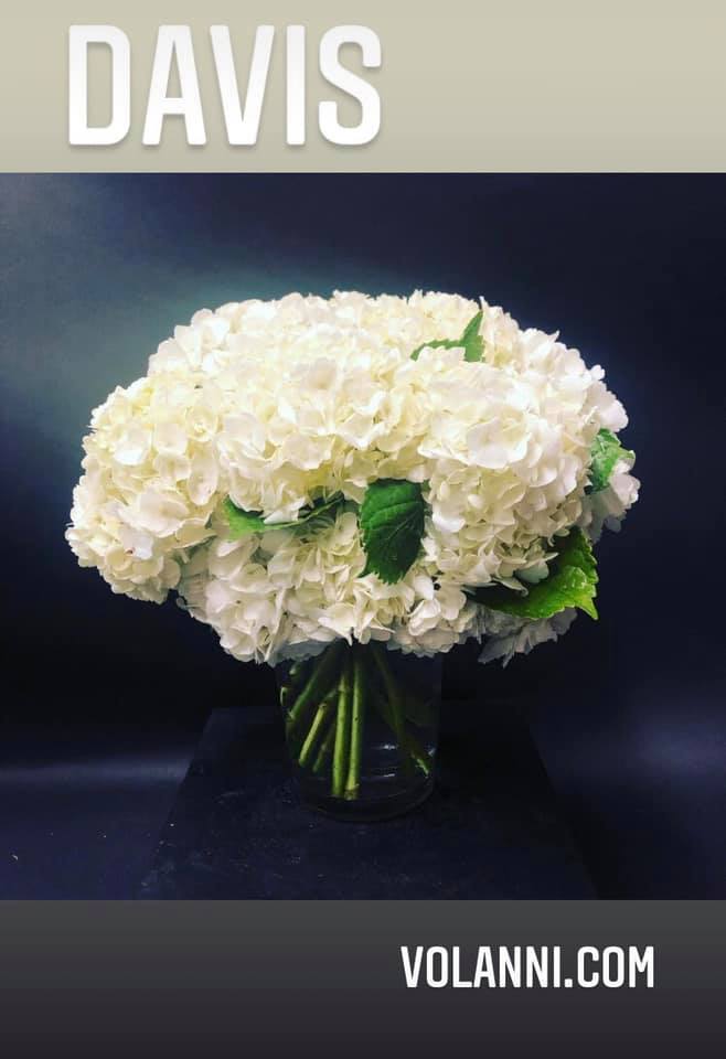 White hydrangea bouquet in a glass vase