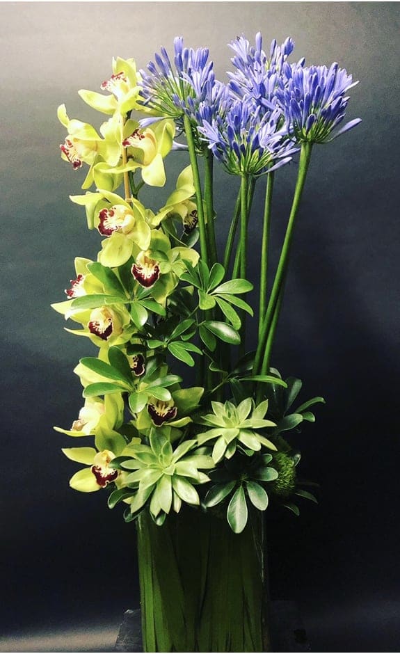 Tall arrangement of yellow orchids and purple agapanthus in a vase