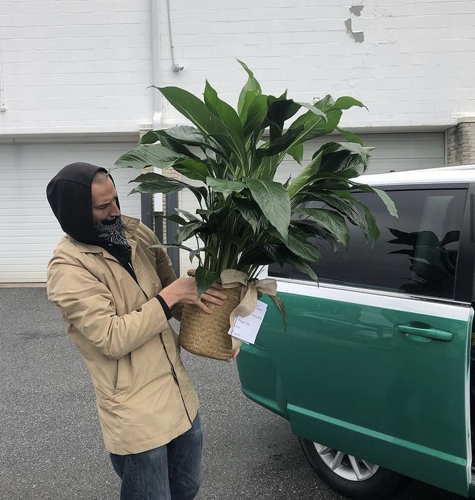Man holding a large potted green plant in a woven basket