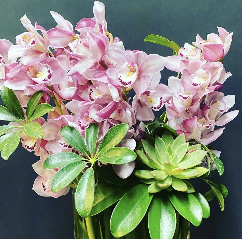 Pink orchids arranged with glossy green foliage in a vase