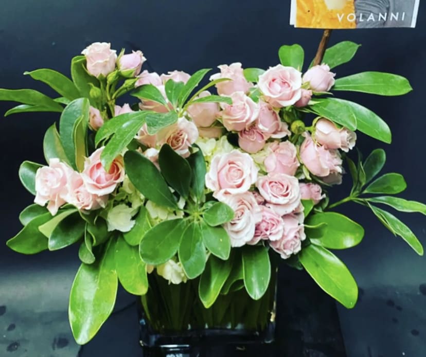 Pink roses arranged in a black vase with broad green leaves