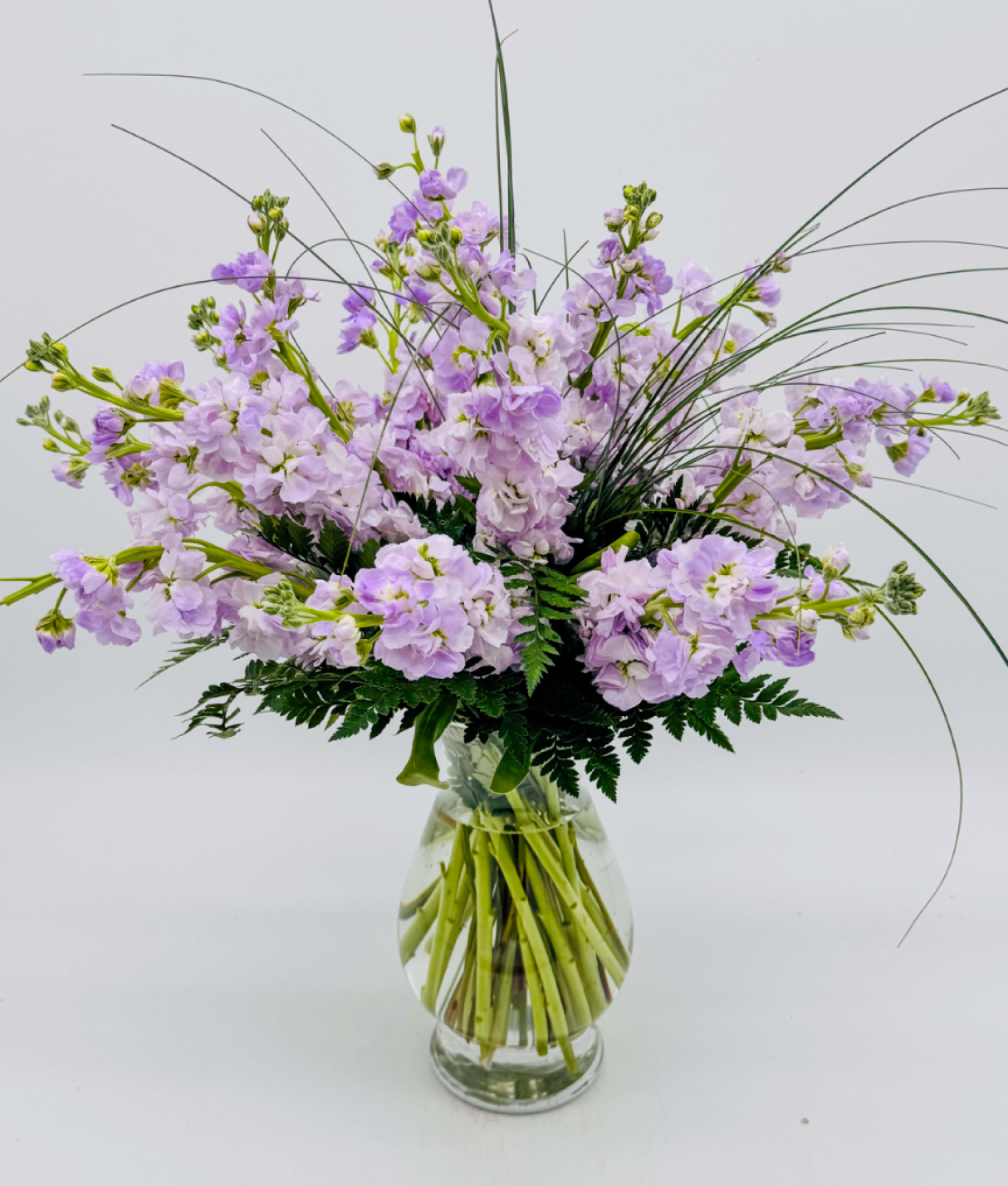 Lavender stock  - Pale lavender  stock form a tall, airy bouquet that feels like a soft spring breeze-perfect as a birthday bouquet, anniversary flowers, or a gentle sympathy arrangement. The long, arching stems give a loose, romantic silhouette that reads elegant and effortlessly refined; the person you're sending it to will feel comforted and celebrated by its light, graceful presence.  This arrangement is gathered in a clear glass vase so the pale green stems are visible through the water, emphasizing the fresh, just-picked look. The blooms are complemented by dark, fern-like foliage at the base and grass-like stems that extend outward for added movement and texture. The color palette is pale lavender, white, and green, creating an overall impression of calm and thoughtful beauty.  Ideal for springtime gifting or any moment when you want to say "I'm thinking of you" with understated elegance, this design works well on mantels, entry tables, or beside a bedside. Vase included; stems are visible through the water so a quick refresh of the vase water every few days and trimming the stems will keep the stock looking their best.15 stems for standard size 21 deluxe 27 stems premium size , funeral,perfect for anniversaries, birthdays, Father's Day, get well, graduations or just because thank you , I'm sorry , Mother's Day,Valentine's Day
