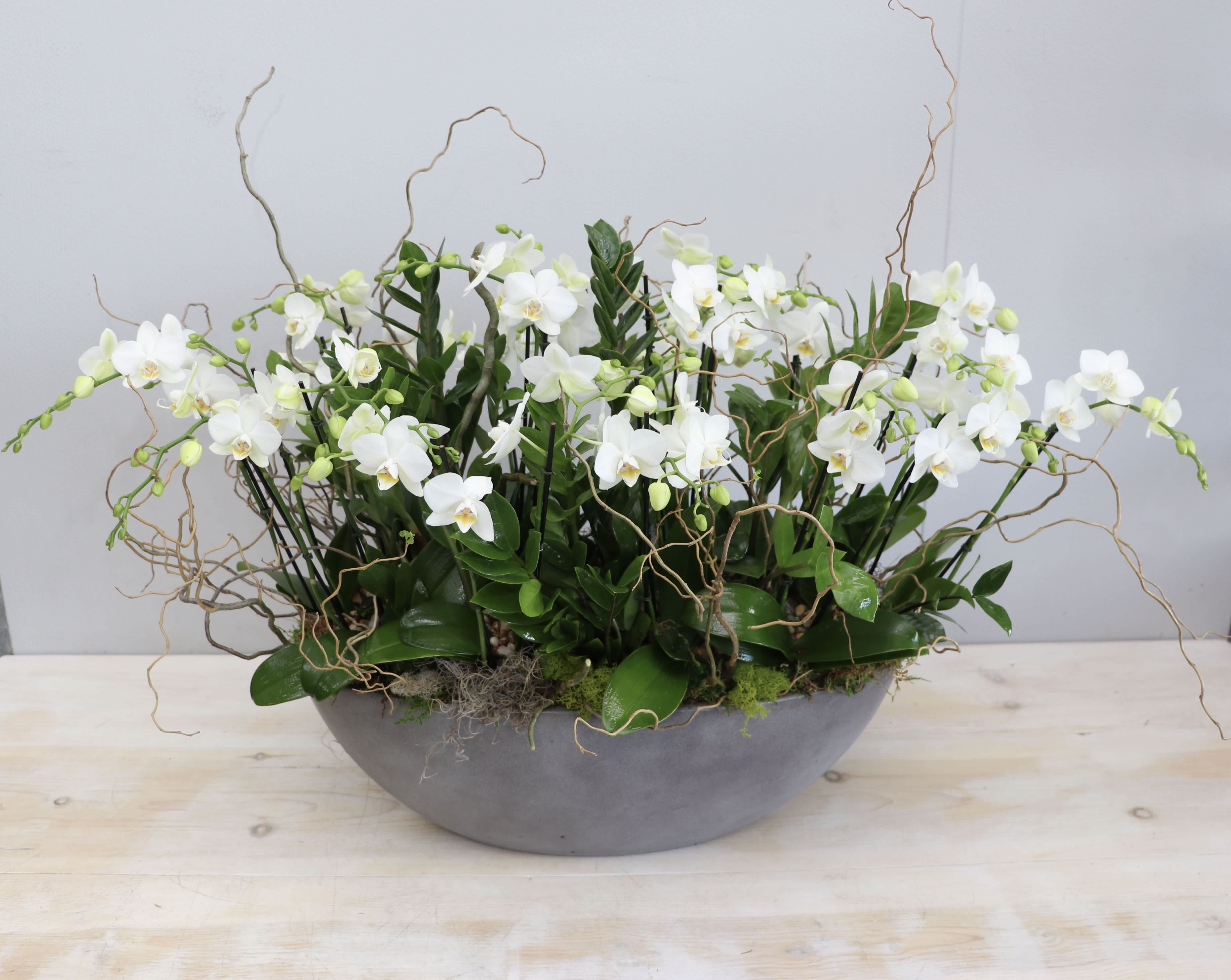 Low gray bowl filled with white orchids and curly branches.