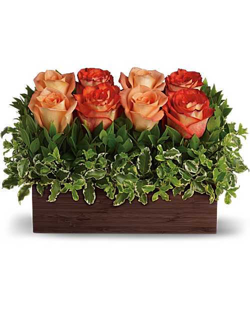 Six peach and red roses arranged in a rectangular wooden box