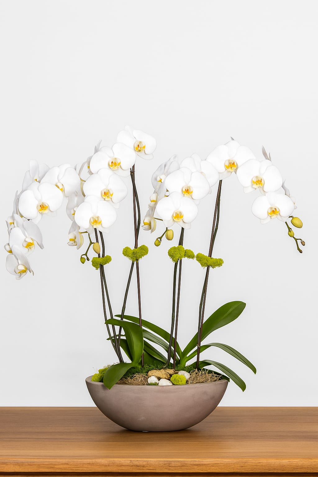 White orchid arrangement in a shallow bowl planter