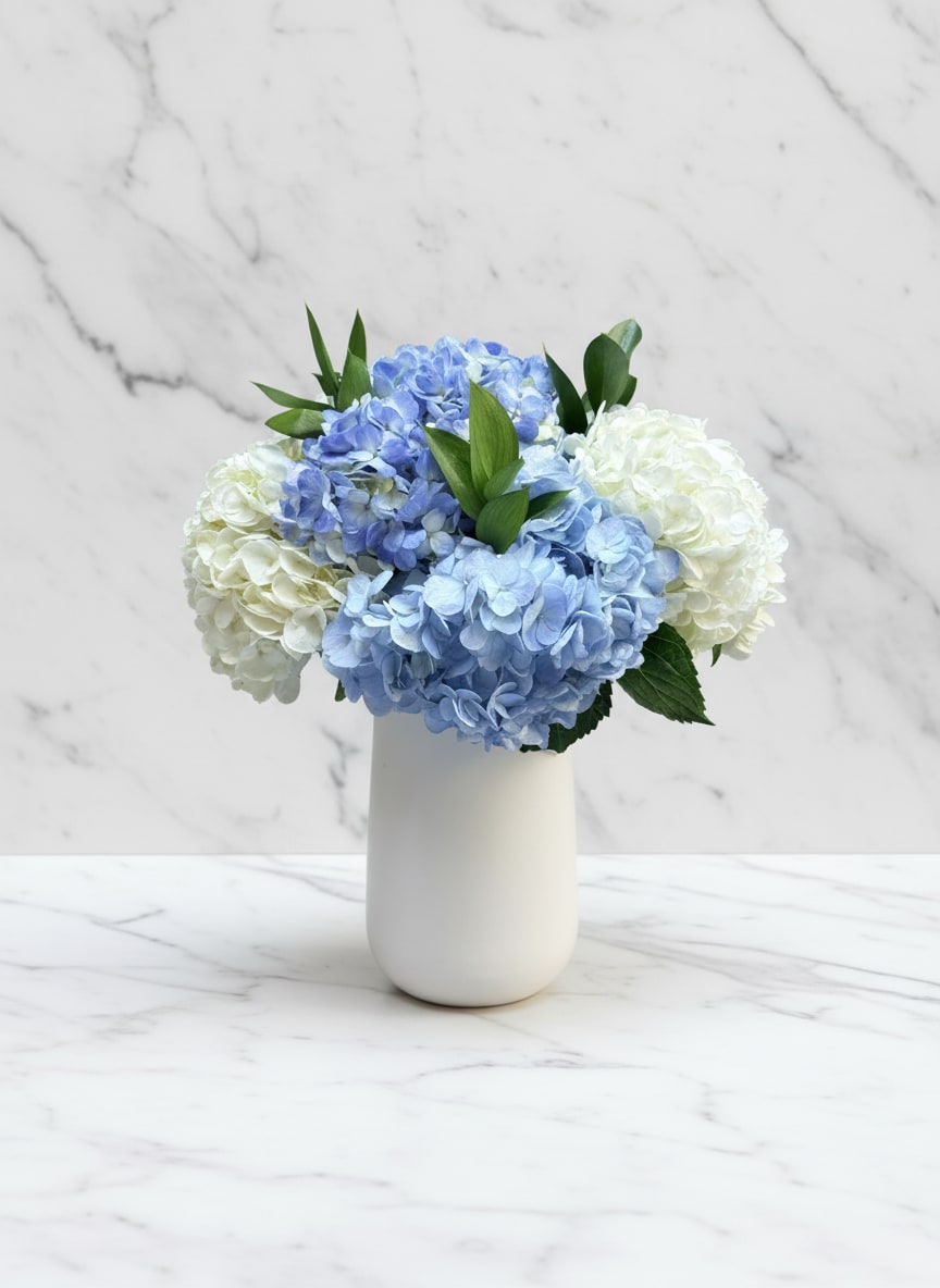 Blue and white hydrangeas arranged in a white vase