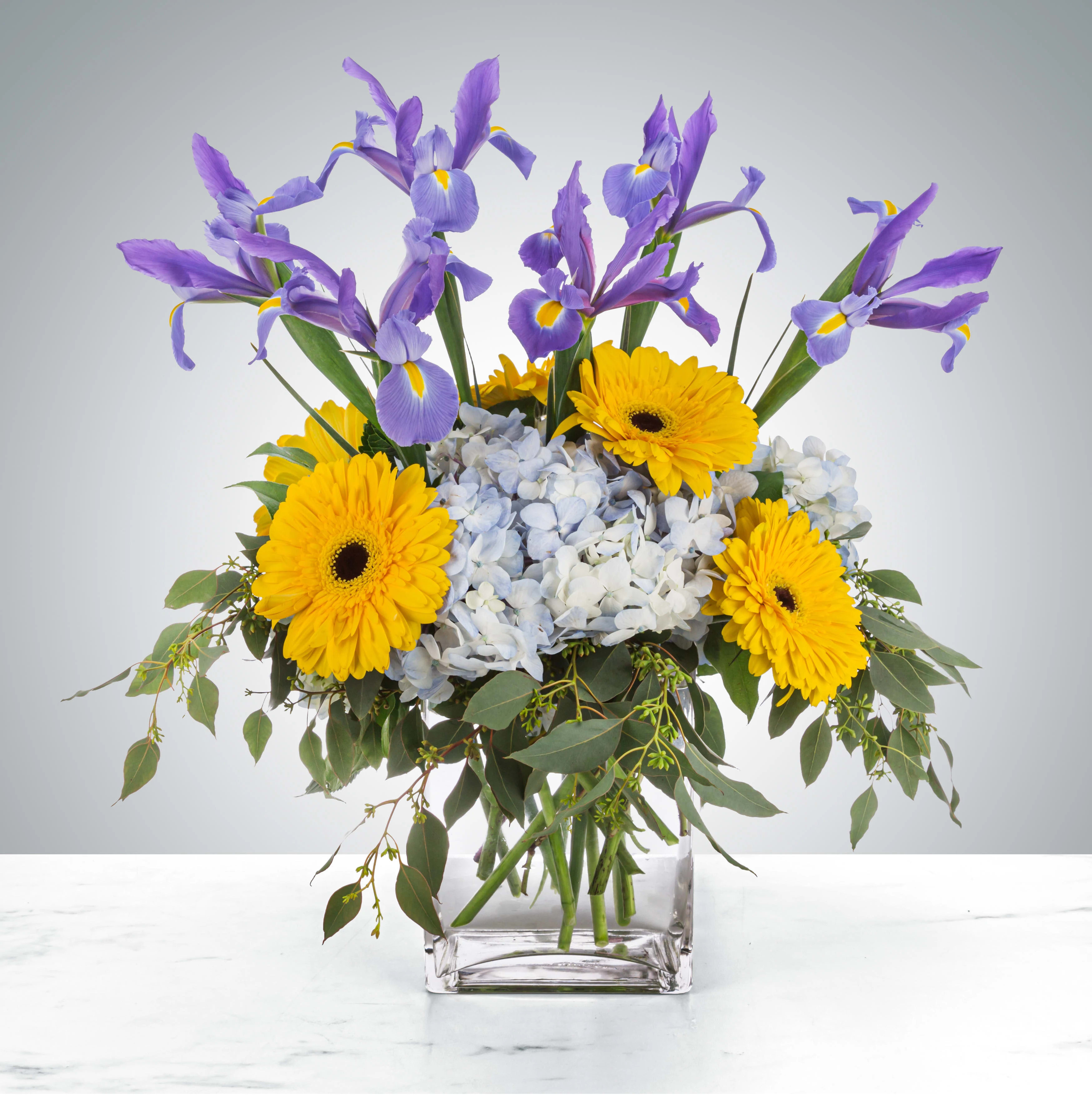 Fresh Rain by BloomNation™ - Send something beautiful to wash away everything bad! Friend going through a breakup? Cheer them up with flowers. Forgot a birthday? Wash away the lapse. Sibling not feeling well? Send them Fresh Rain by BloomNation™.  Approximate Dimensions: 14""D x 14""H"