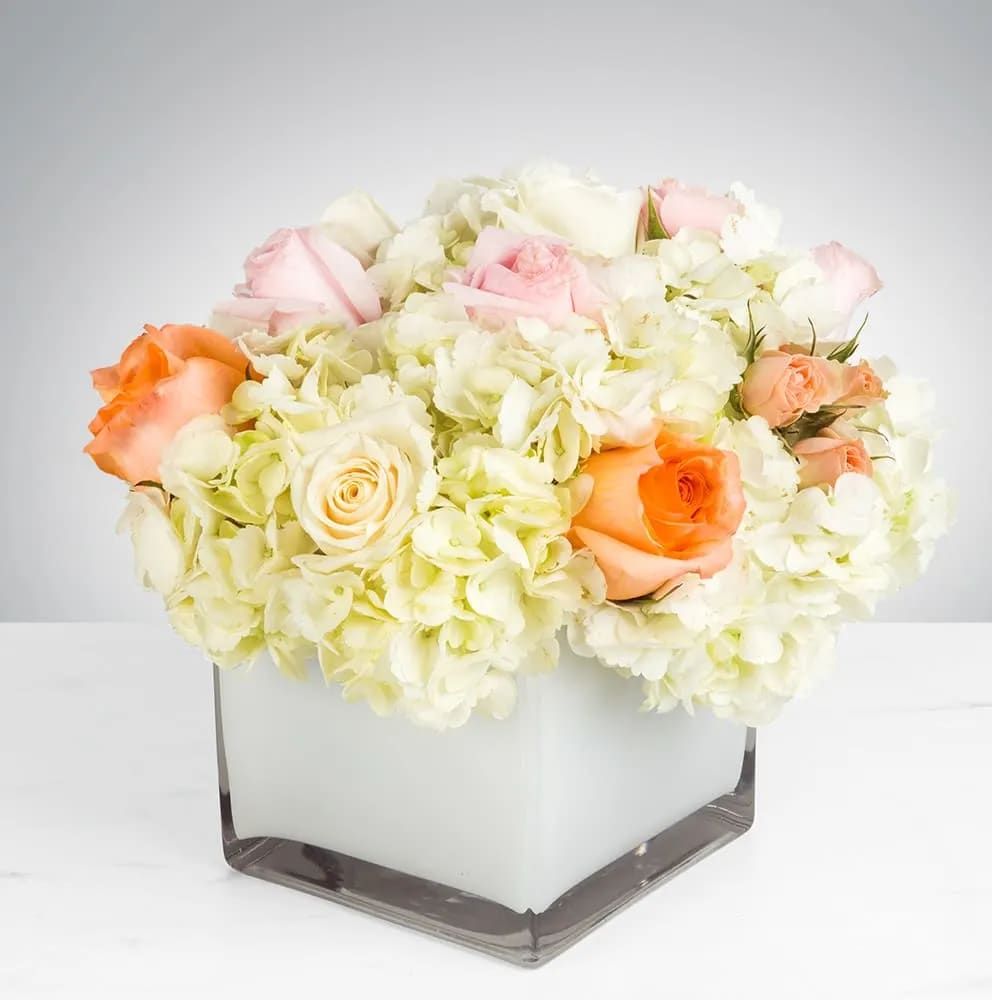 You're a Peach by BloomNation™ - Brighten someone's day with this cheerful bouquet. This arrangement includes roses and hydrangea and is perfect for a Birthday, Mother's Day, or just to cheer someone up. APPROXIMATE DIMENSIONS: 9.5"L X 9.5"W X 9.5"H