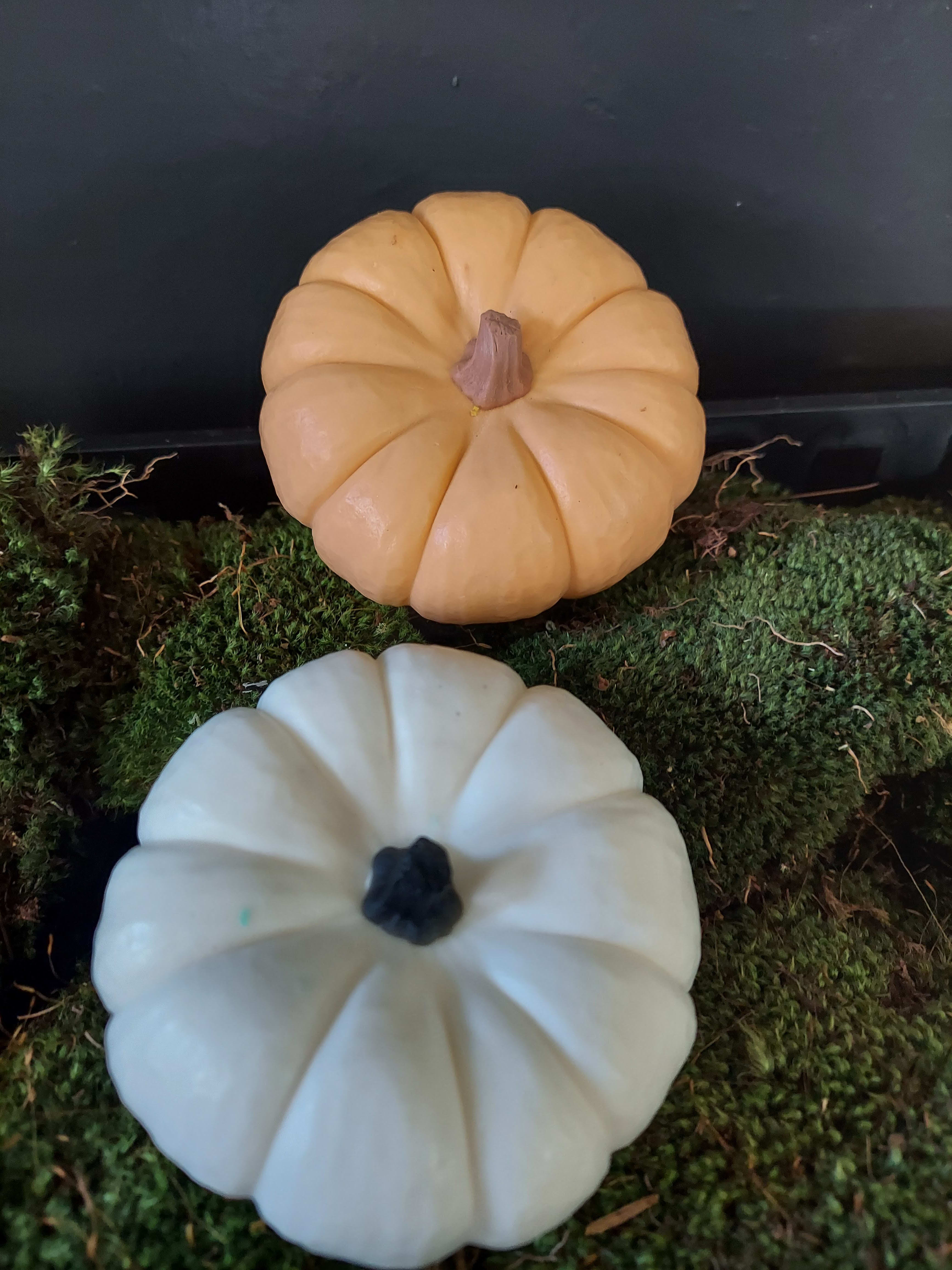 Two decorative pumpkins on moss, one peach and one white