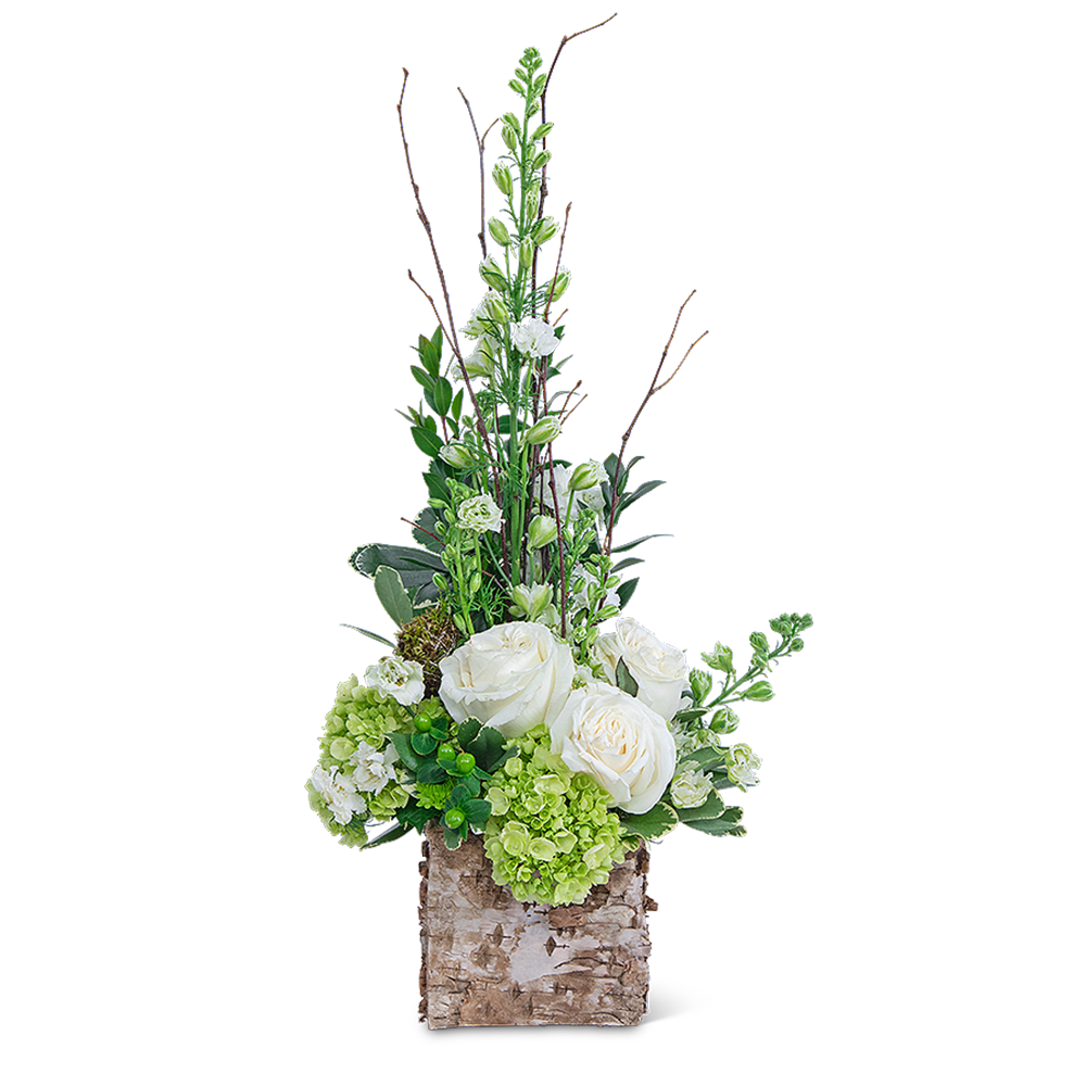 White roses and green hydrangeas in a birch bark container