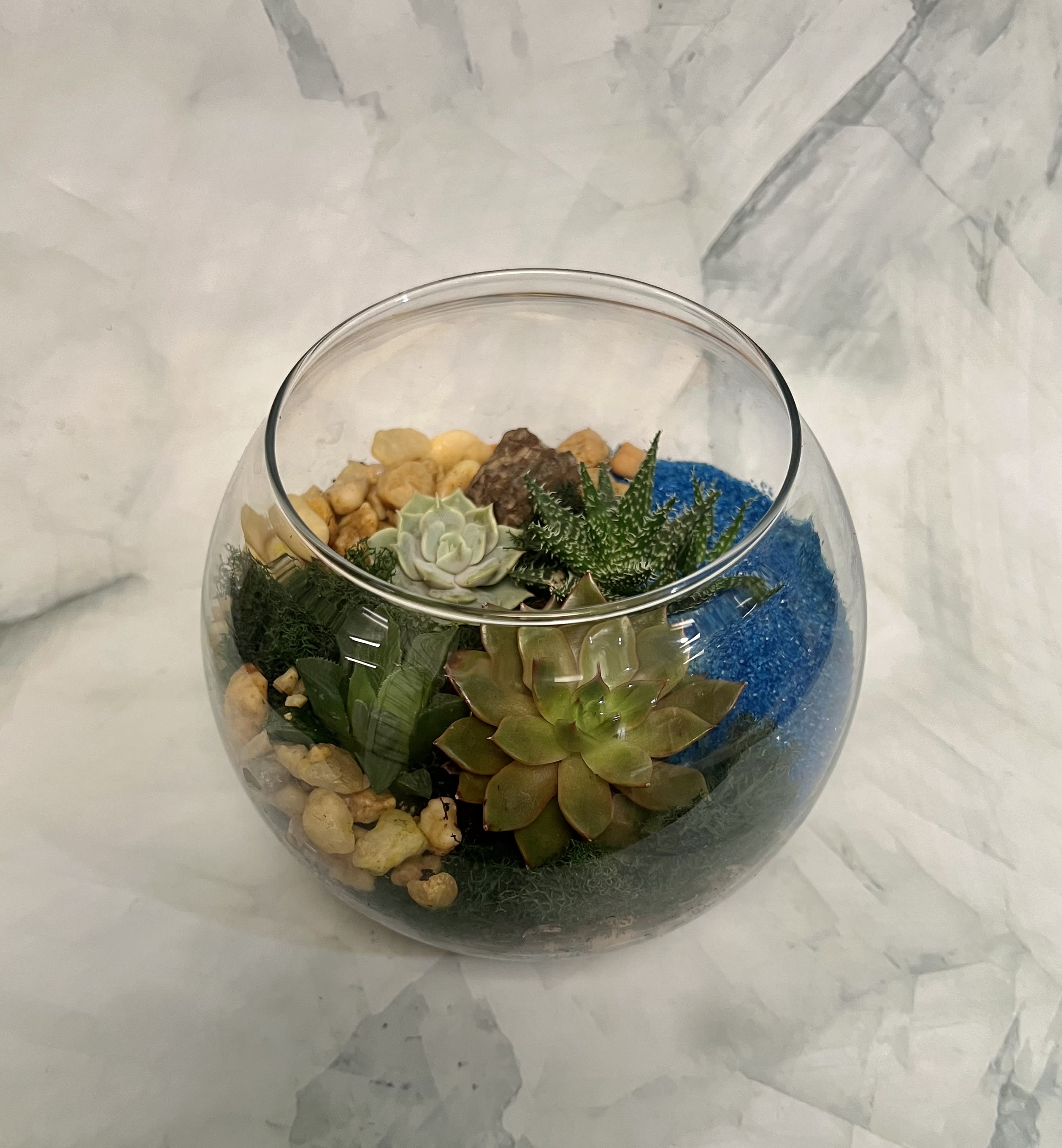 Glass bowl terrarium with assorted green succulents, stones, and bright blue sand