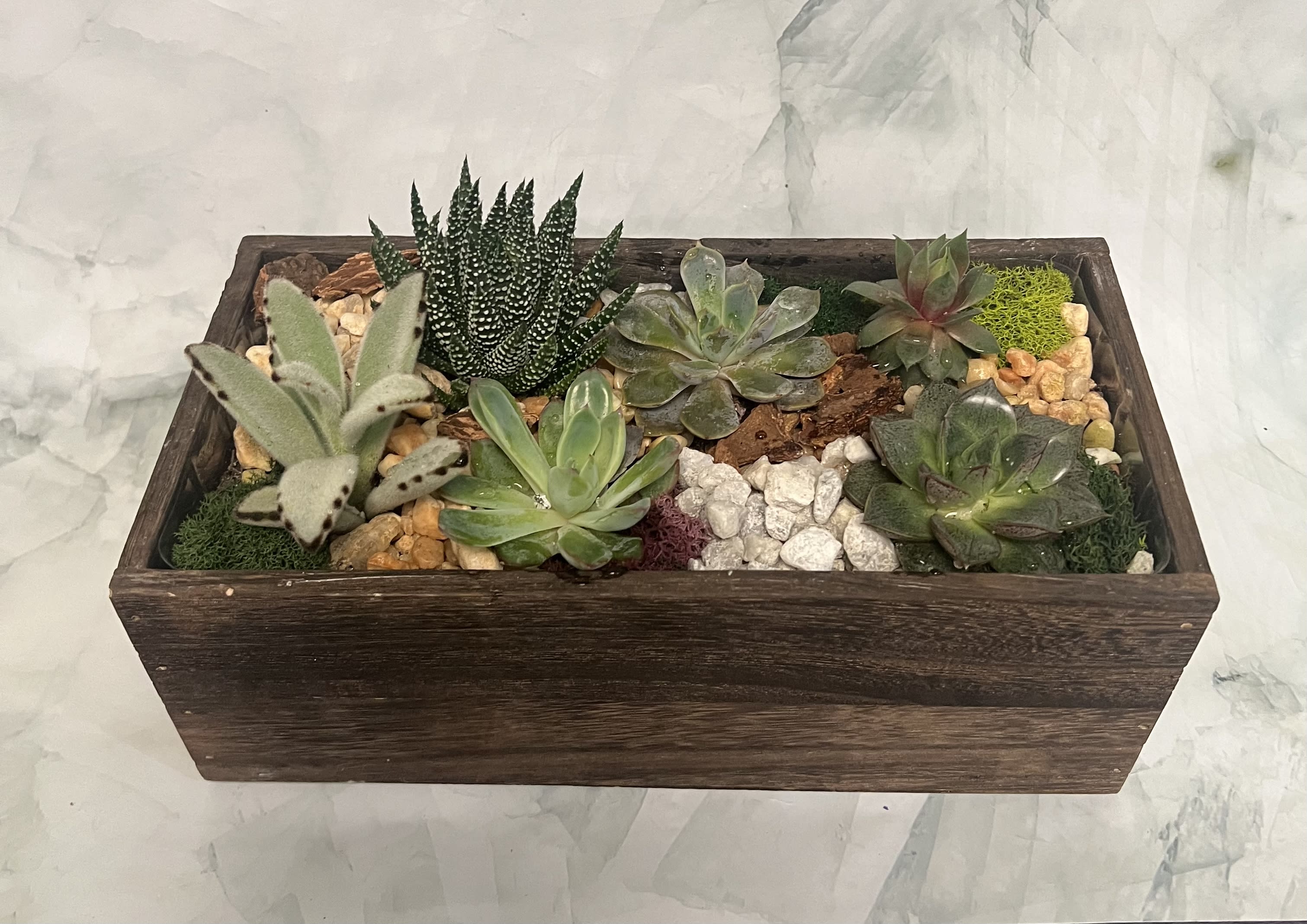 Rectangular wooden planter with assorted succulents and decorative stones