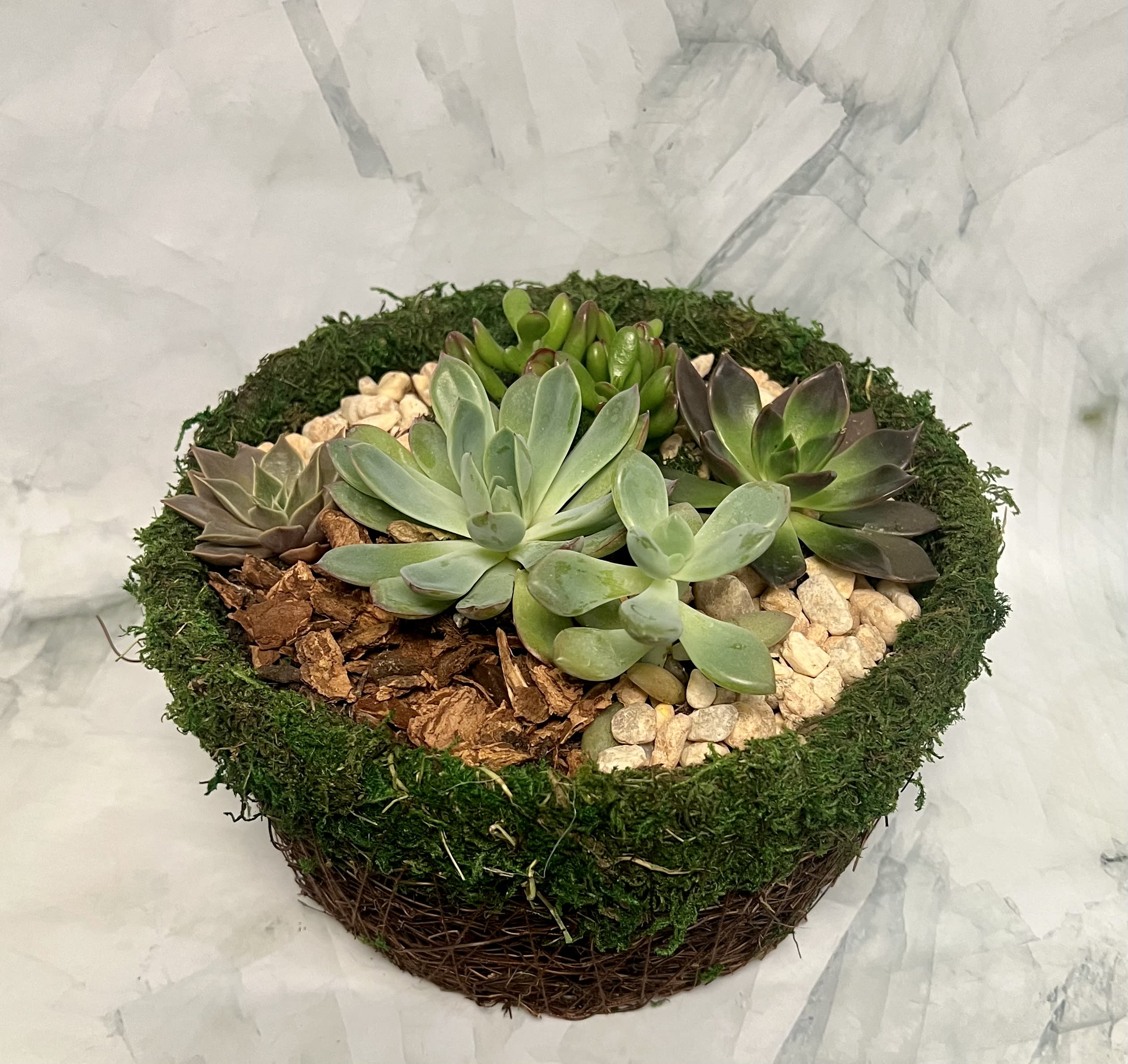Round succulent arrangement in a moss-covered basket with pebbles